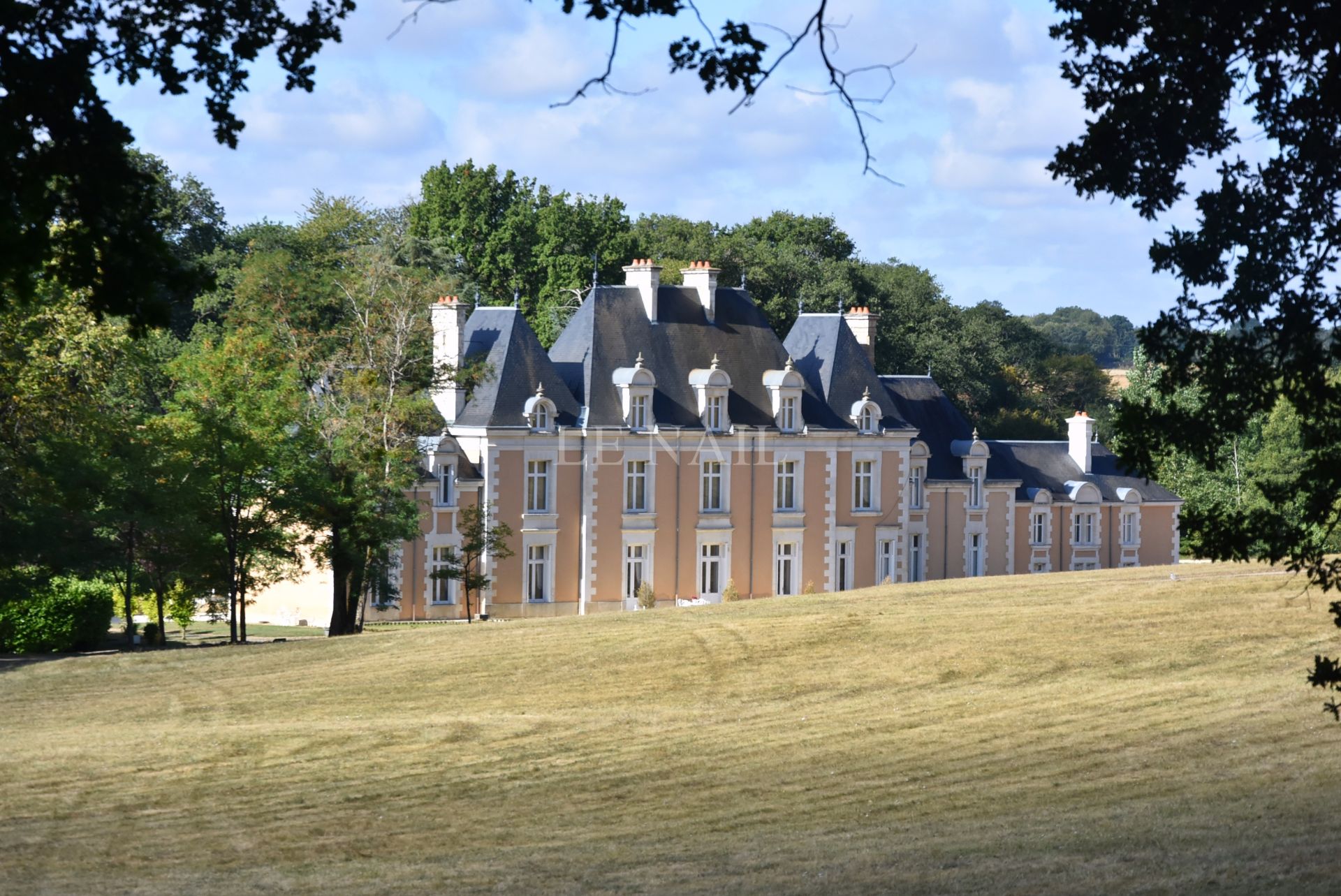 castle 22 rooms for sale on POITIERS (86000)