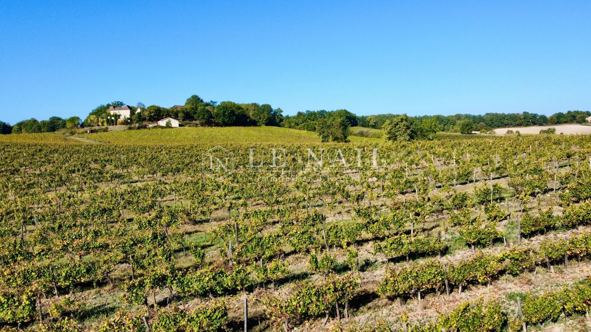 propriété viticole 5 pièces en vente à BERGERAC (24100)