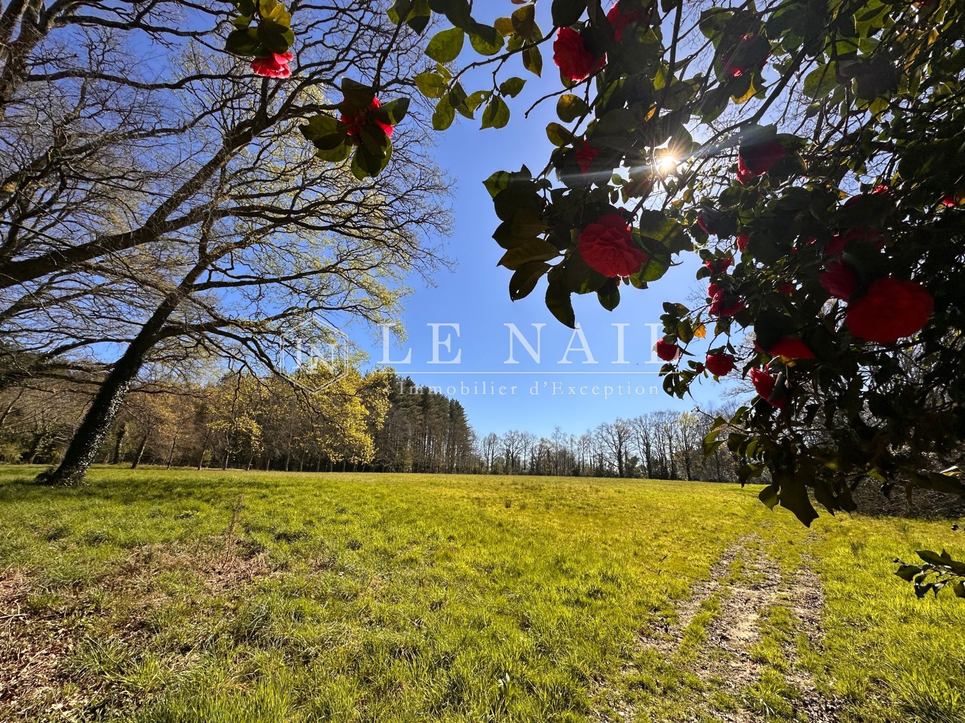 house 9 rooms for sale on SAVENAY (44260)