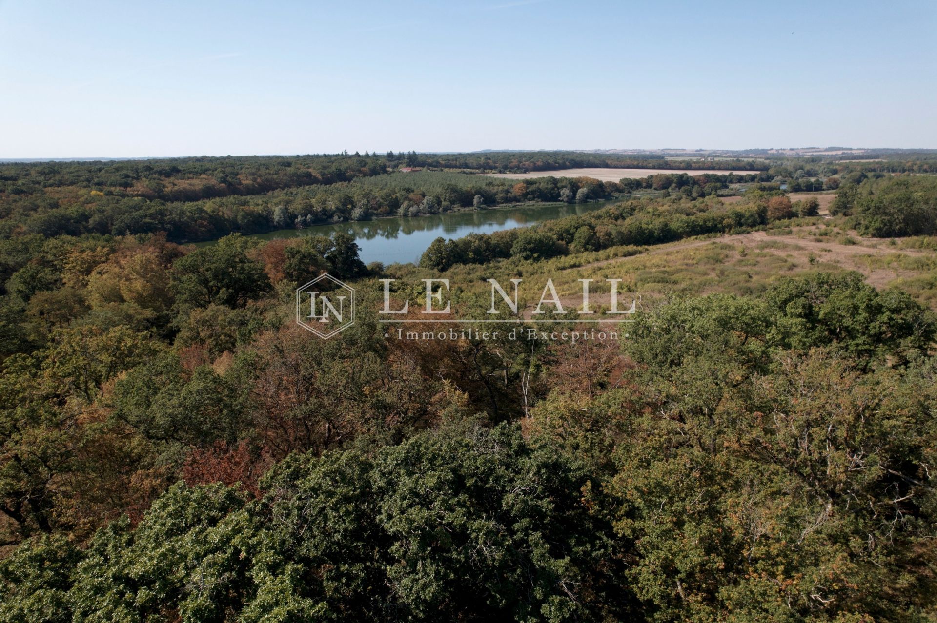 castle 30 rooms for sale on NEVERS (58000)