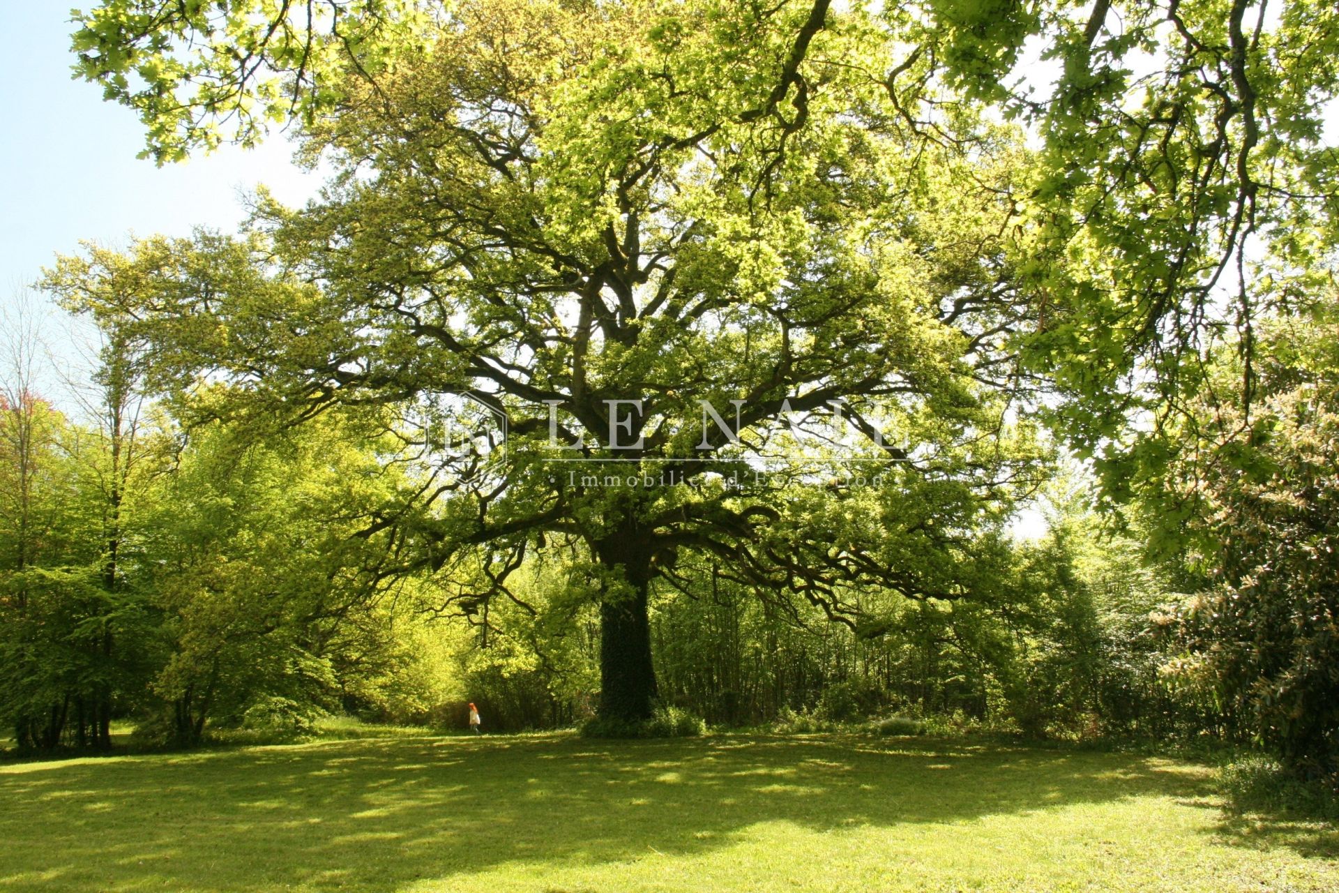 château 30 pièces en vente à NEVERS (58000)