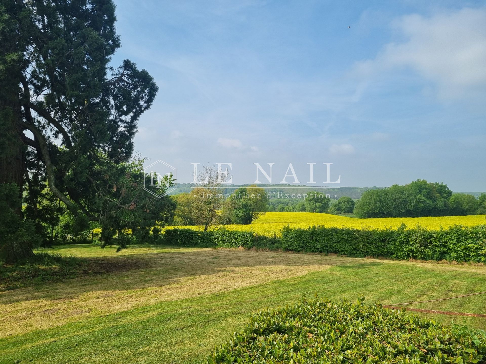 house 6 rooms for sale on CHATEAU LA VALLIERE (37330)