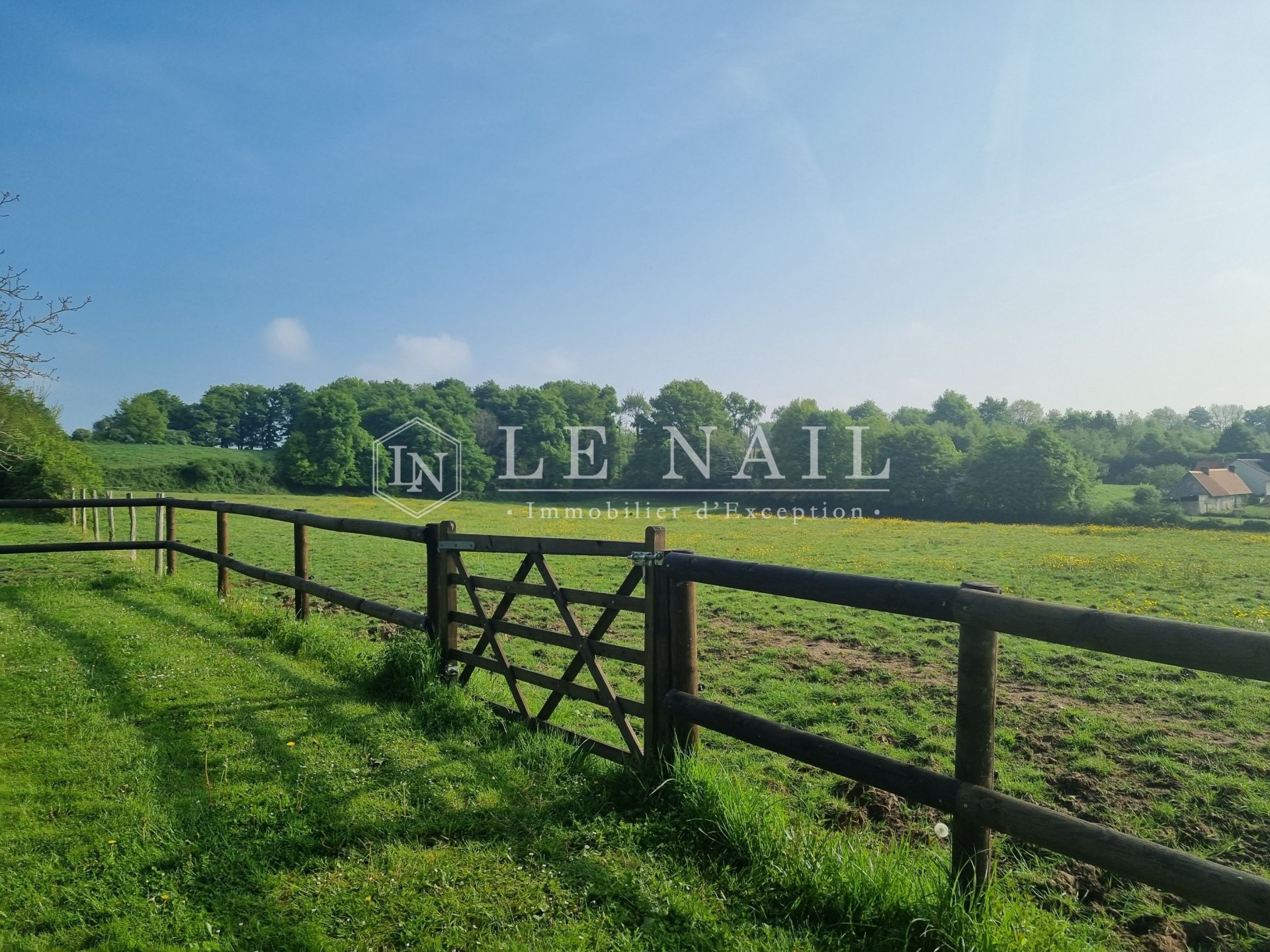 house 6 rooms for sale on CHATEAU LA VALLIERE (37330)