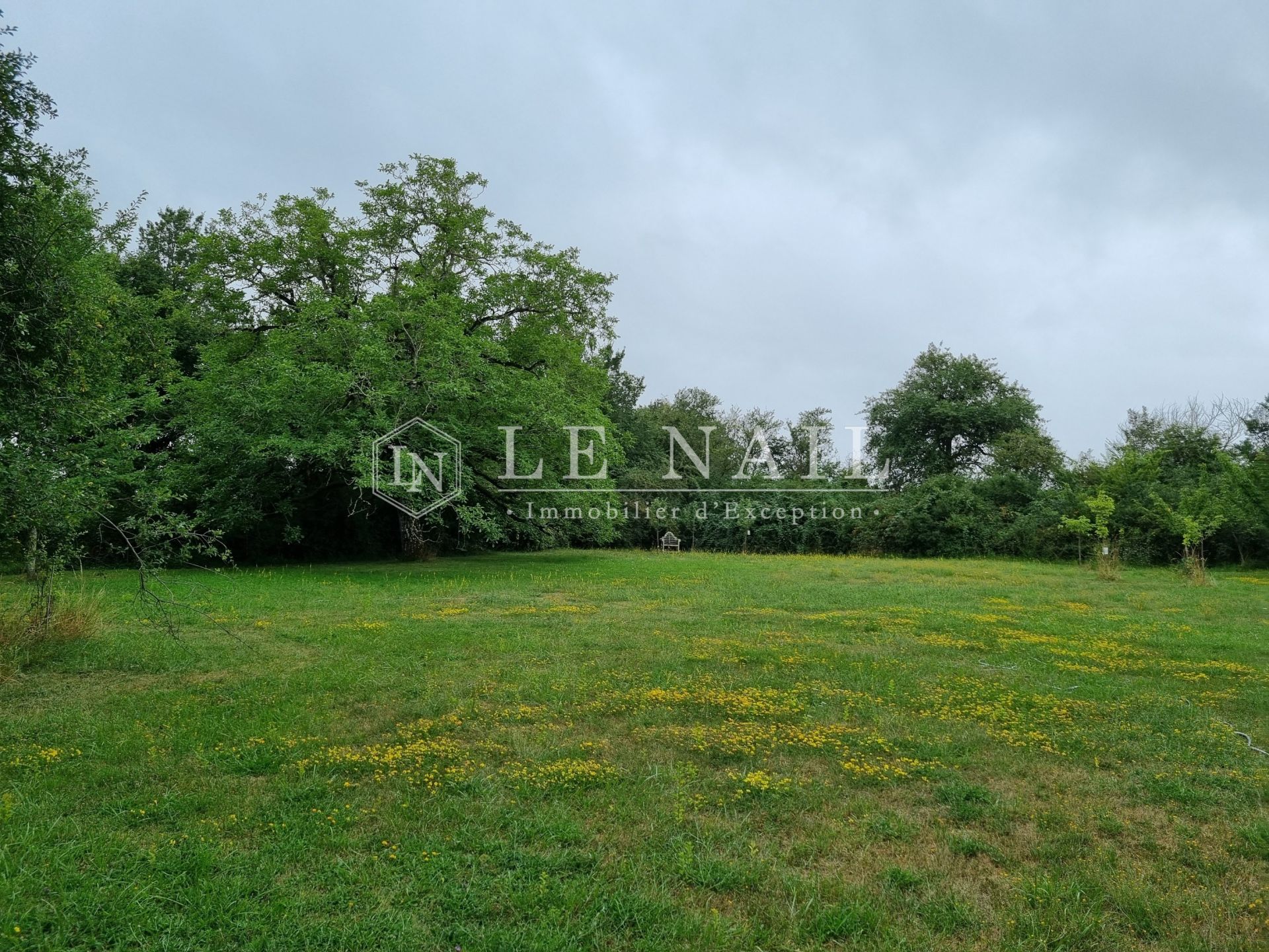 mansion 12 rooms for sale on CHATEAUNEUF SUR CHER (18190)