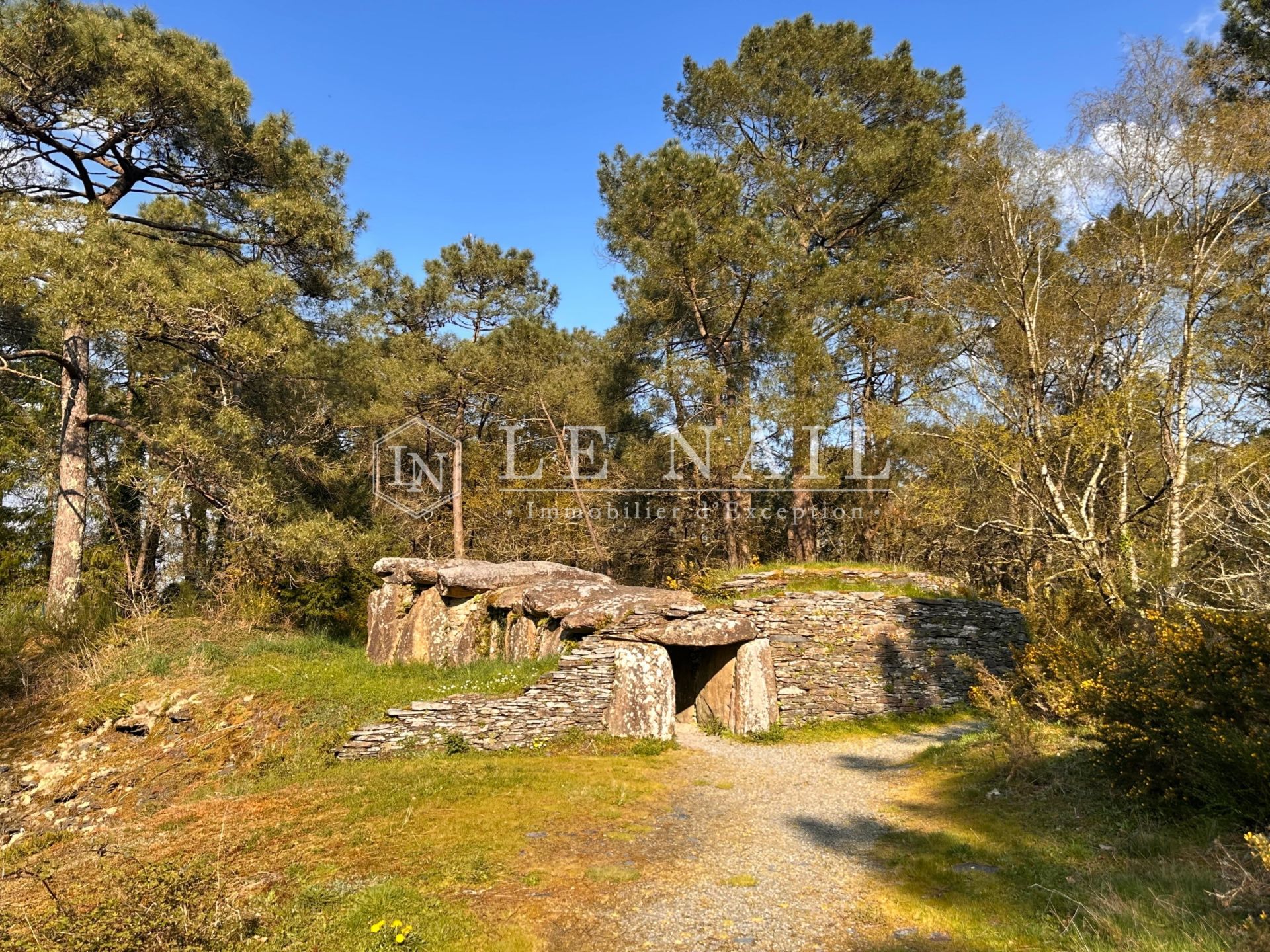 propriété 21 pièces en vente à ROCHEFORT EN TERRE (56220)