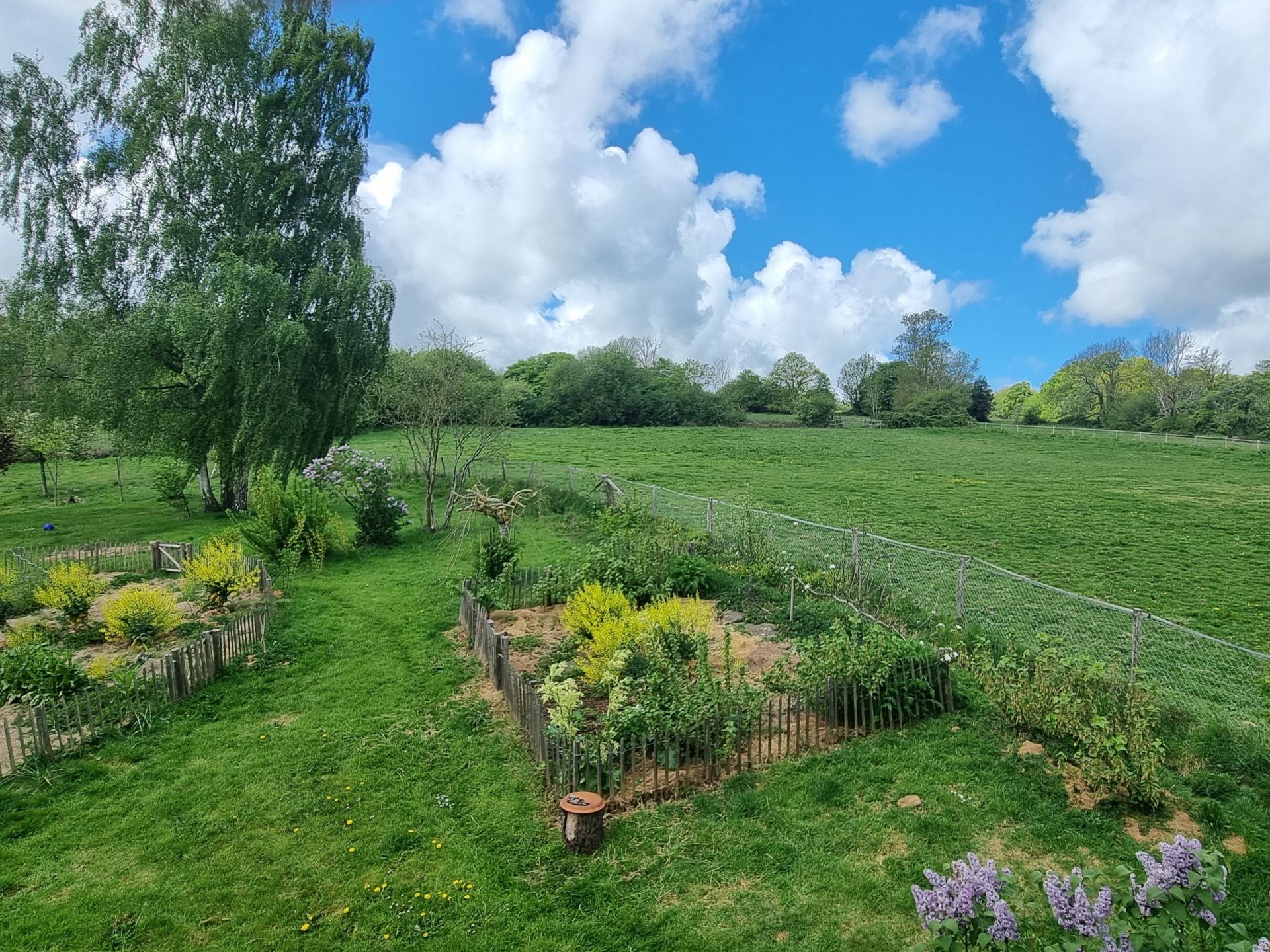 property 12 rooms for sale on PONT L EVEQUE (14130)