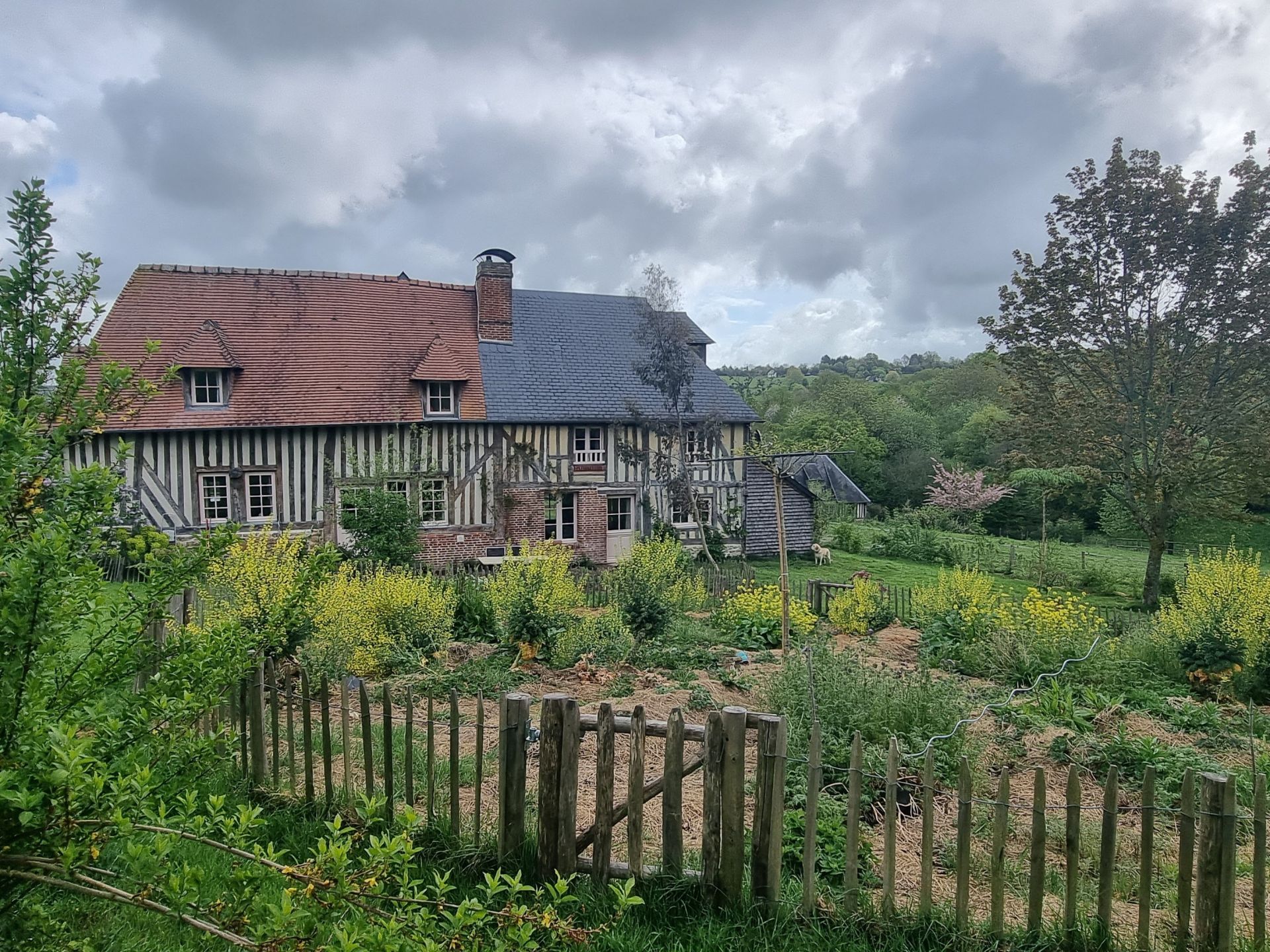 property 12 rooms for sale on PONT L EVEQUE (14130)
