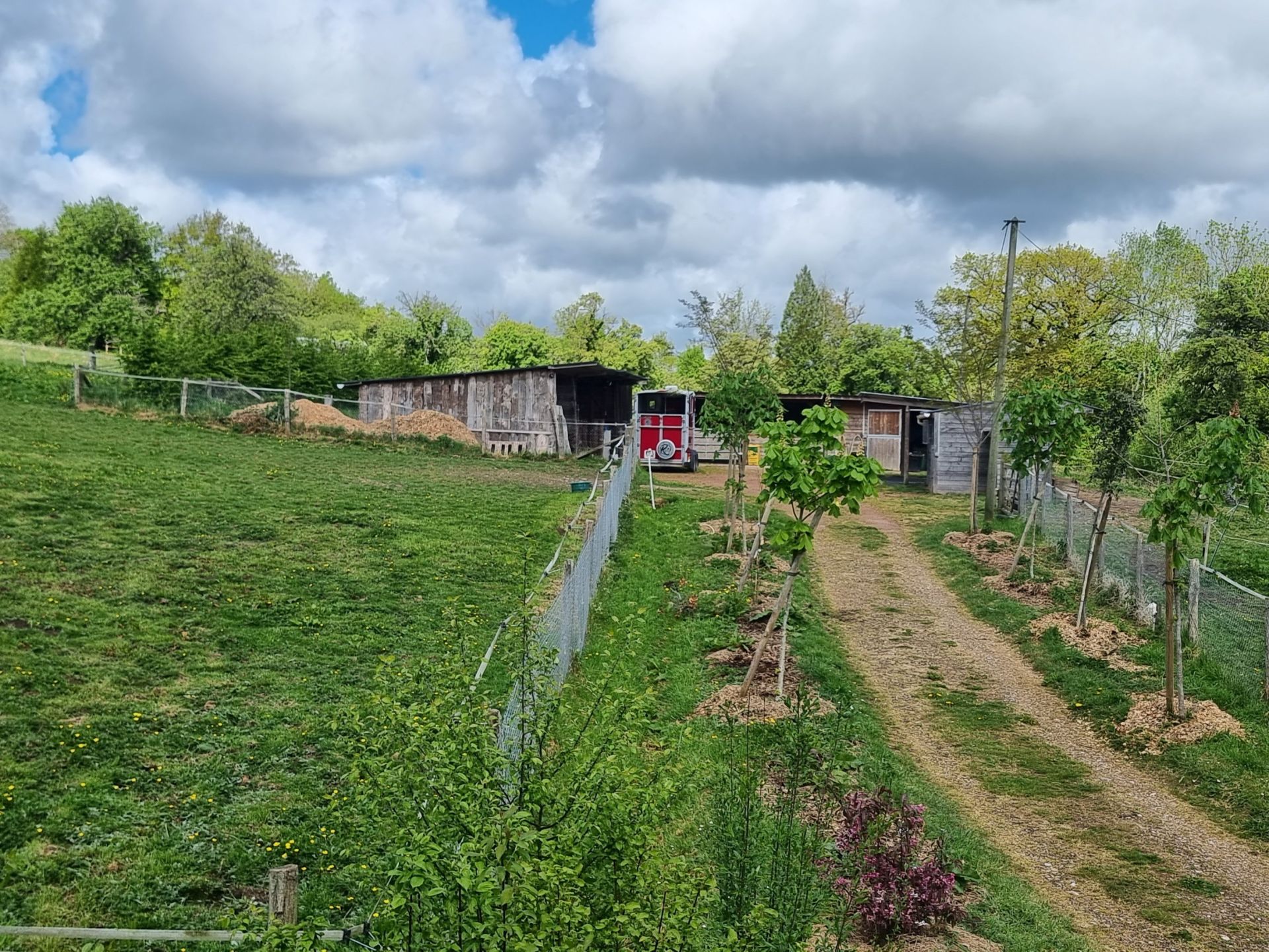 property 12 rooms for sale on PONT L EVEQUE (14130)