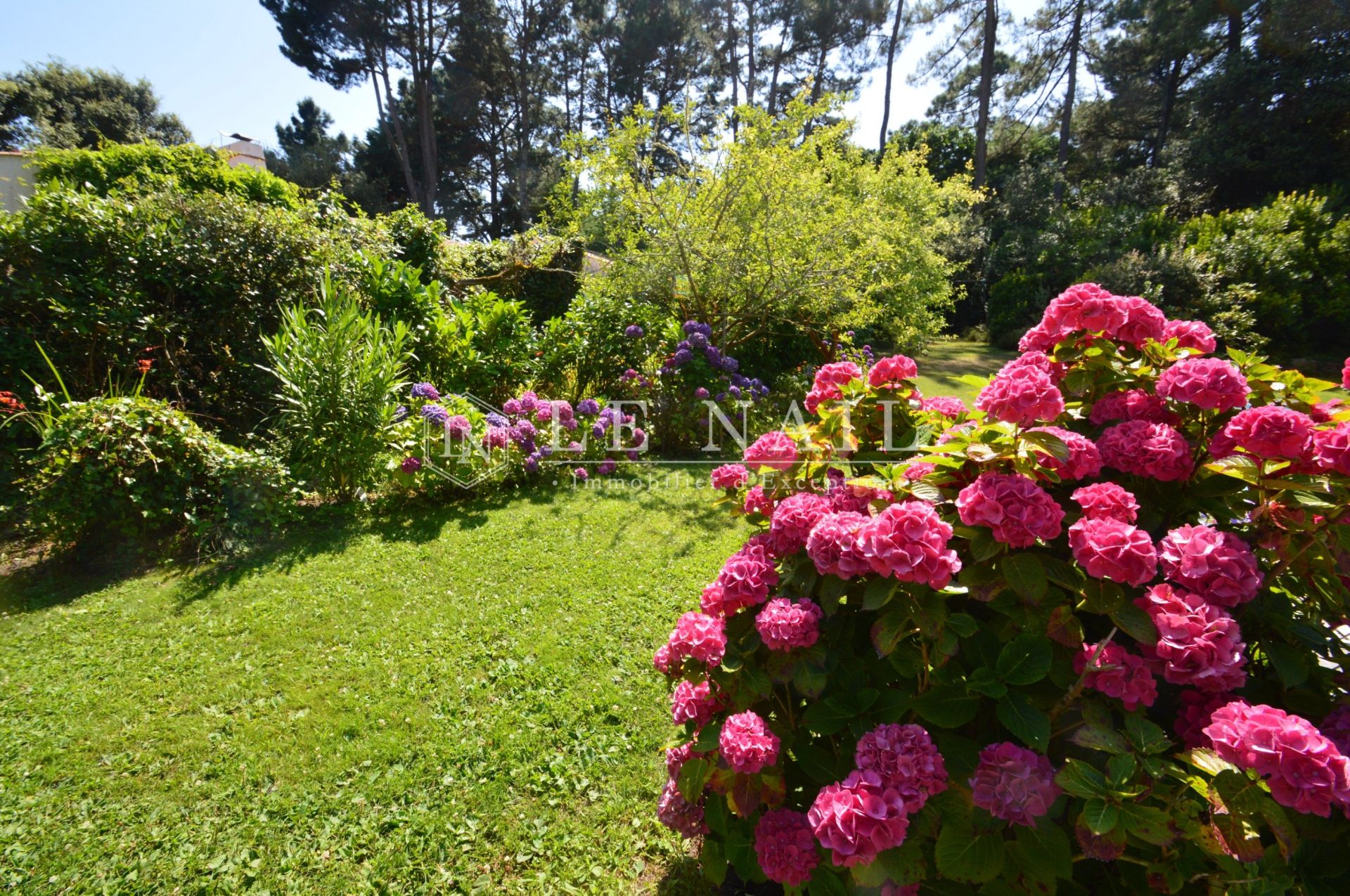 house 10 rooms for sale on NOIRMOUTIER EN L ILE (85330)