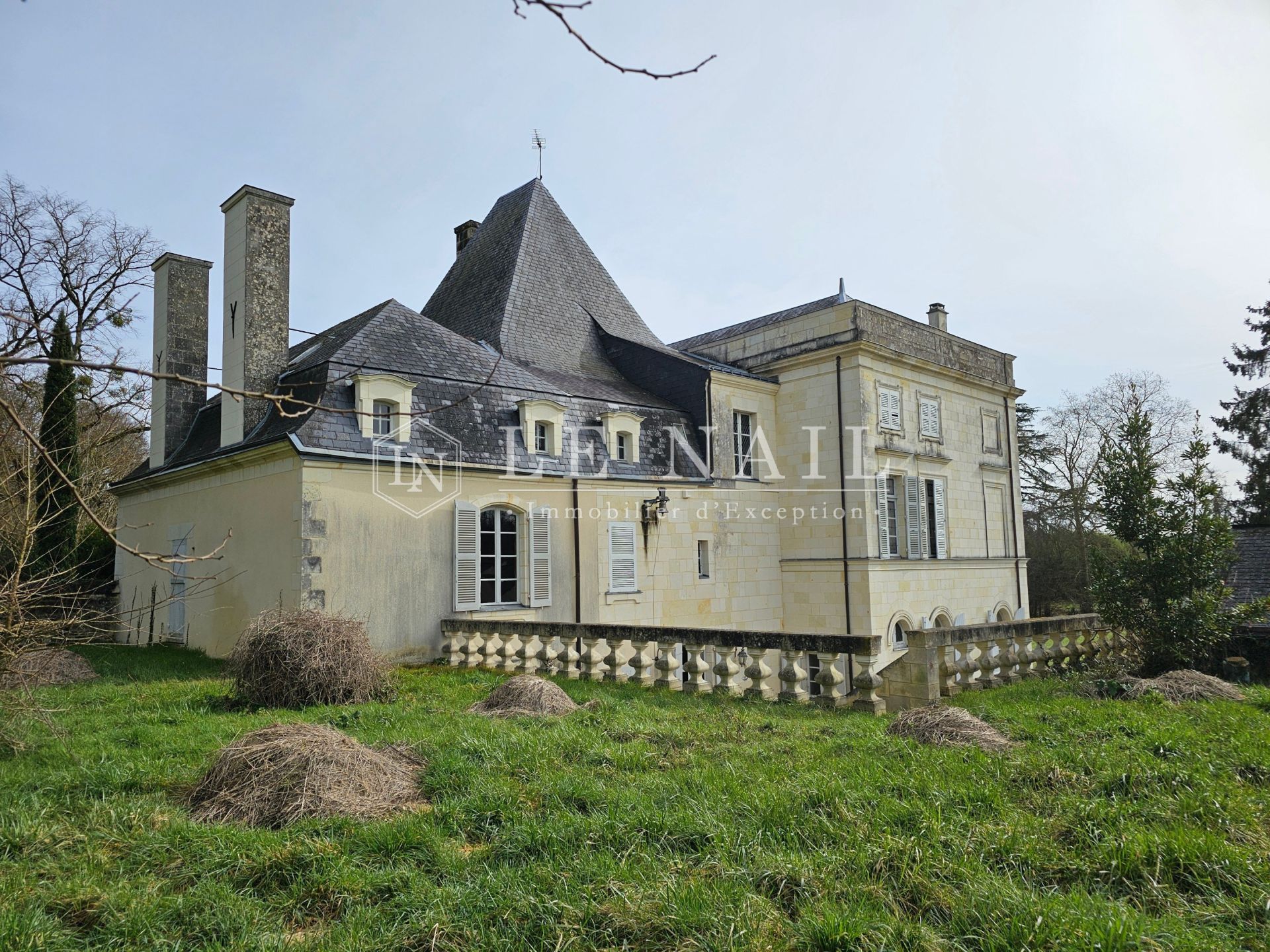 château 16 pièces en vente à ANGERS (49000)