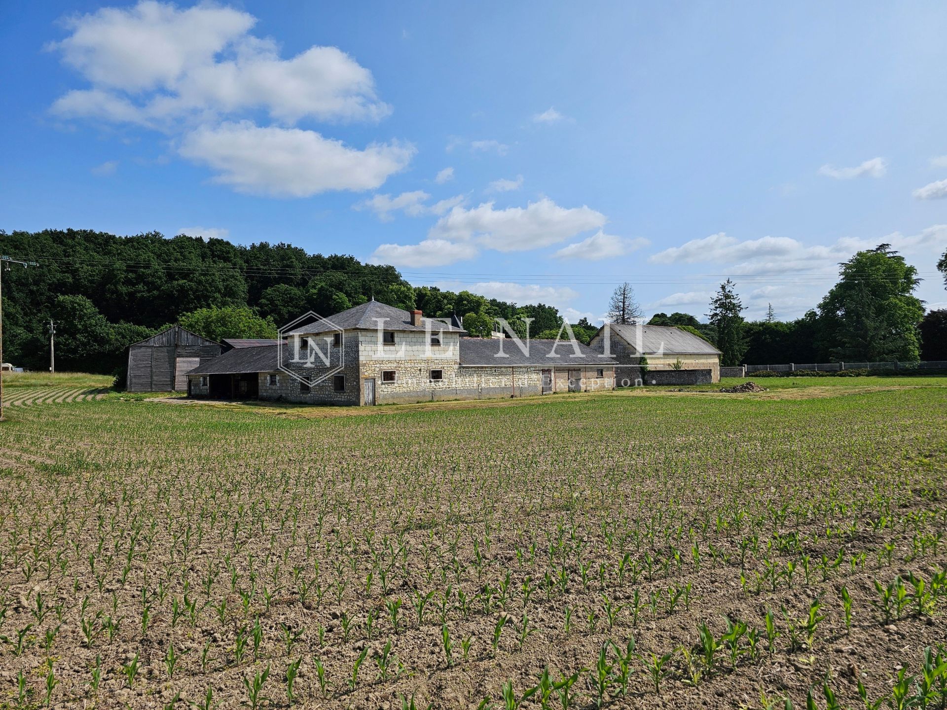 castle 16 rooms for sale on ANGERS (49000)
