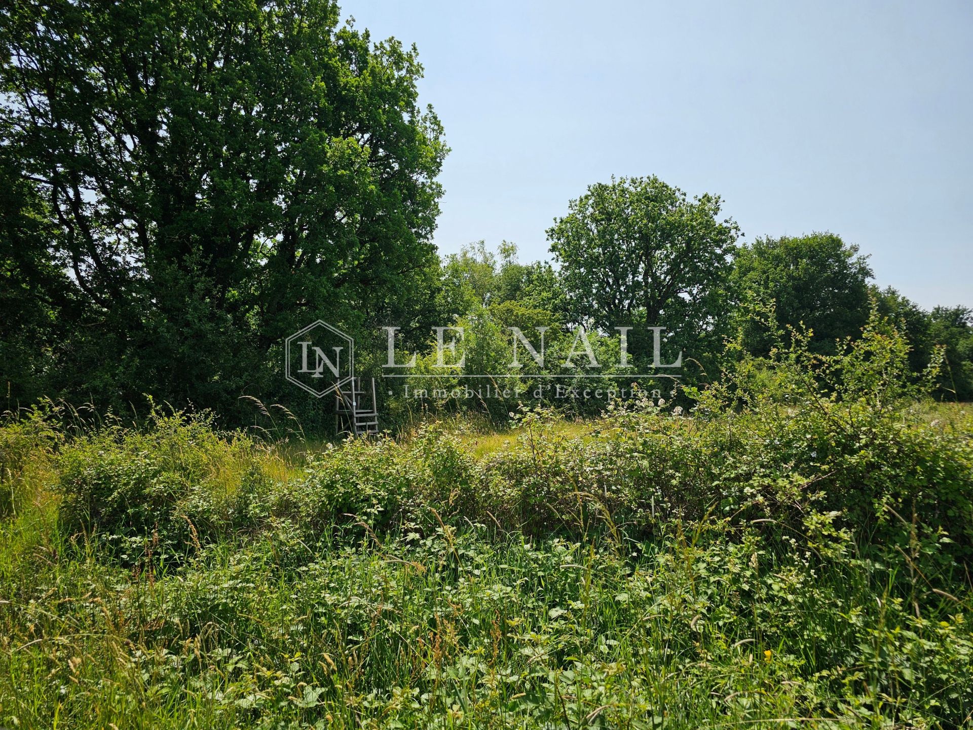 château 16 pièces en vente à ANGERS (49000)