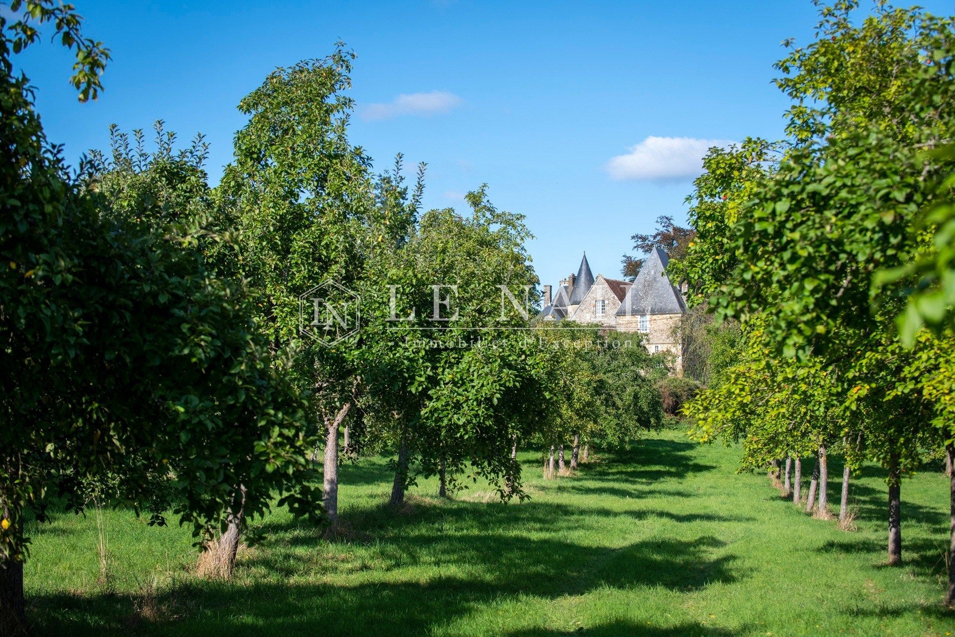 château 15 pièces en vente à FALAISE (14700)