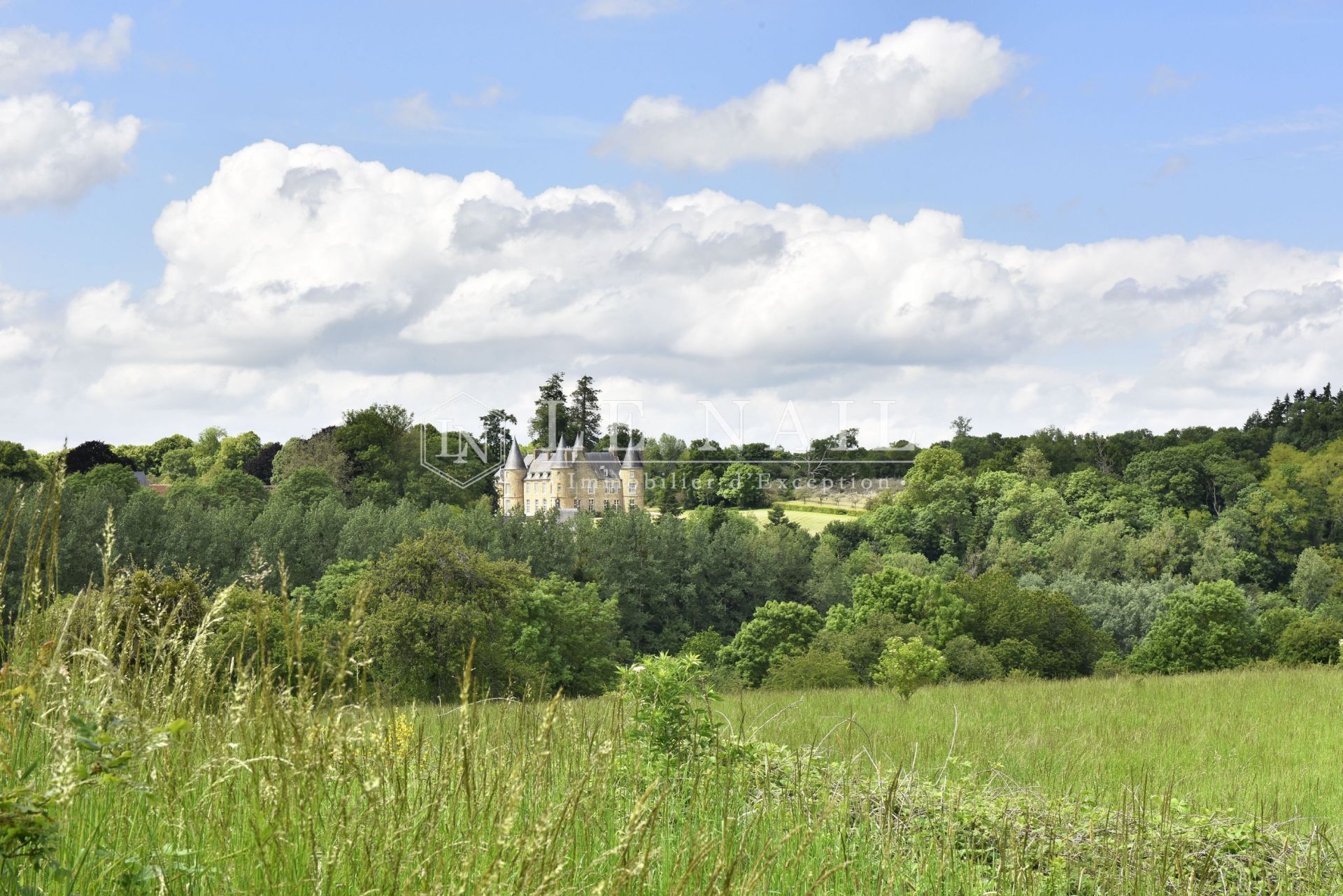 château 15 pièces en vente à FALAISE (14700)
