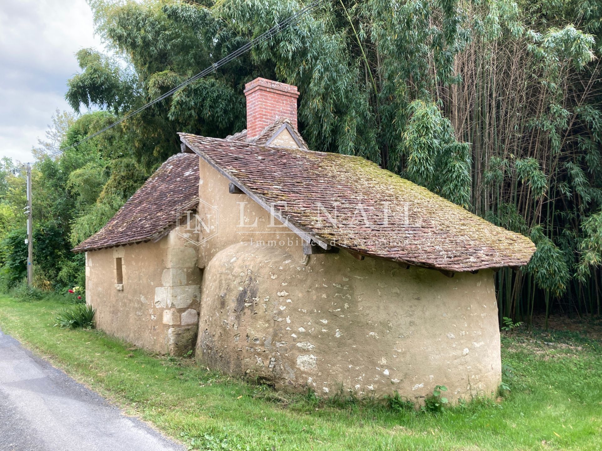 manoir 8 pièces en vente à AZAY LE FERRON (36290)