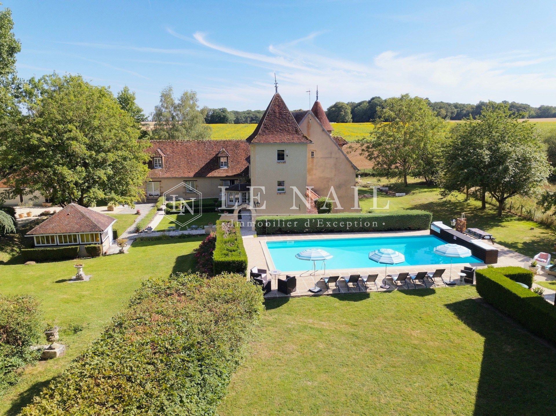 château 12 pièces en vente à VALENCAY (36600)
