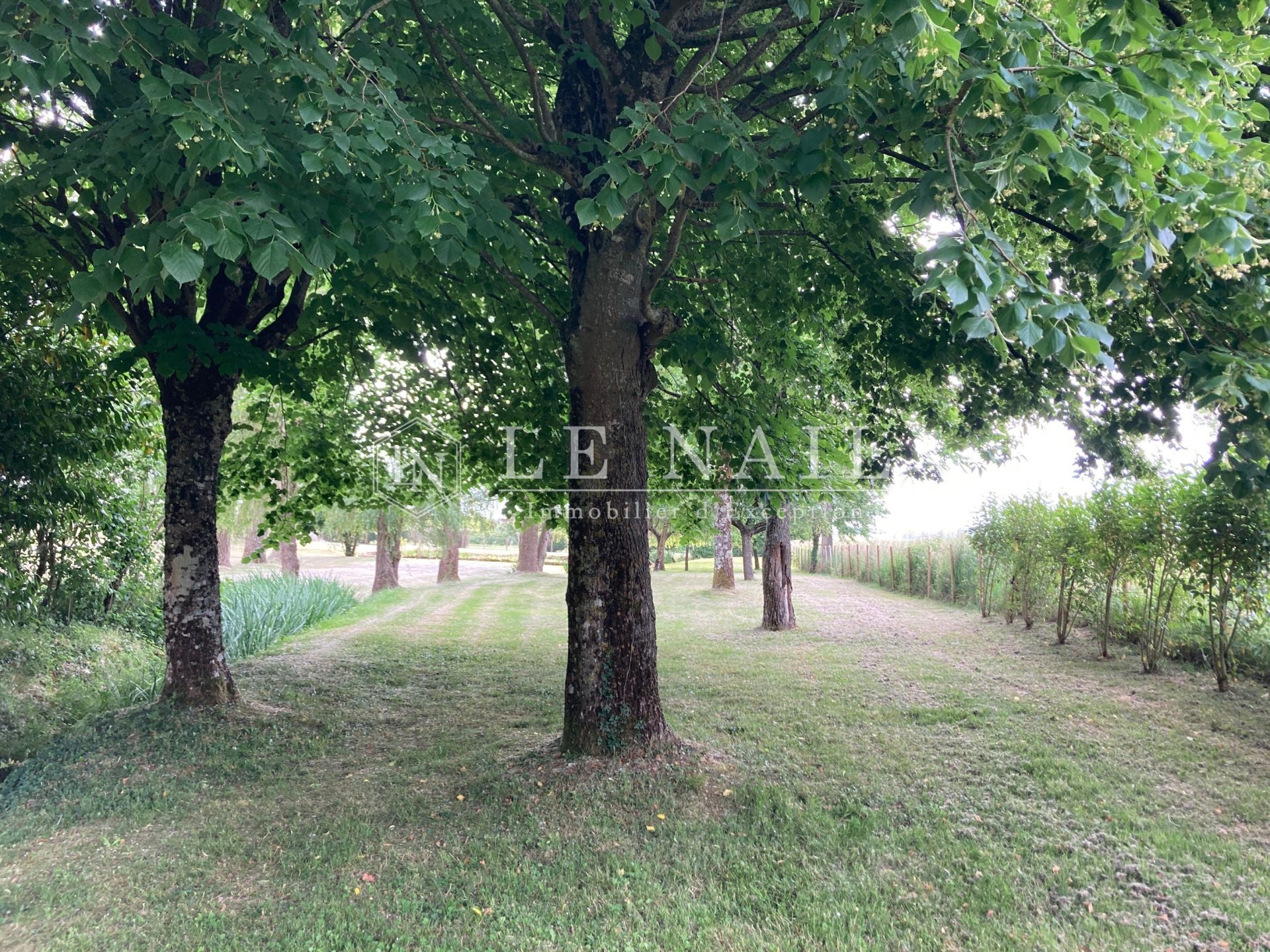 château 12 pièces en vente à VALENCAY (36600)