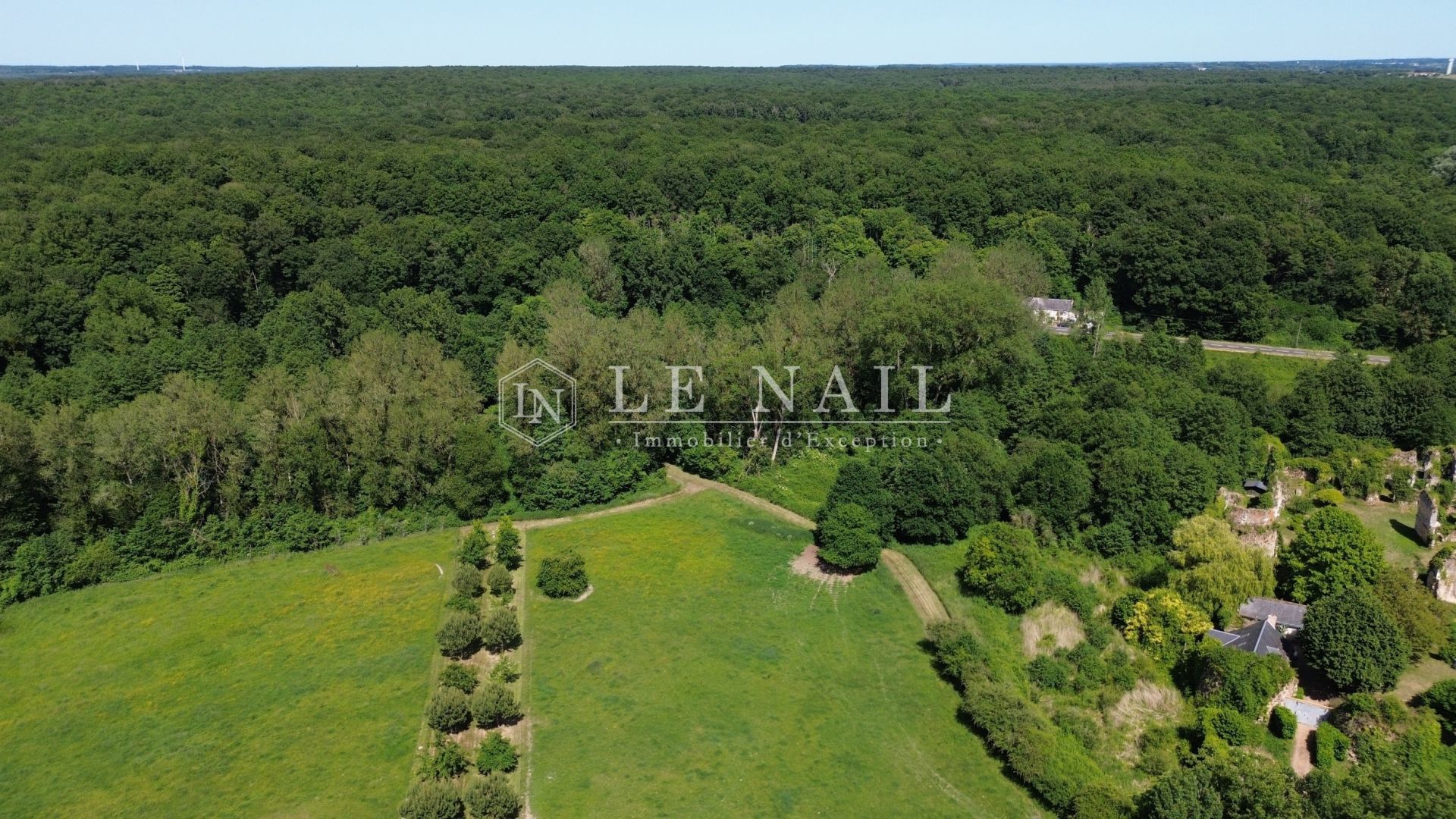 propriété 9 pièces en vente à CHATEAU LA VALLIERE (37330)