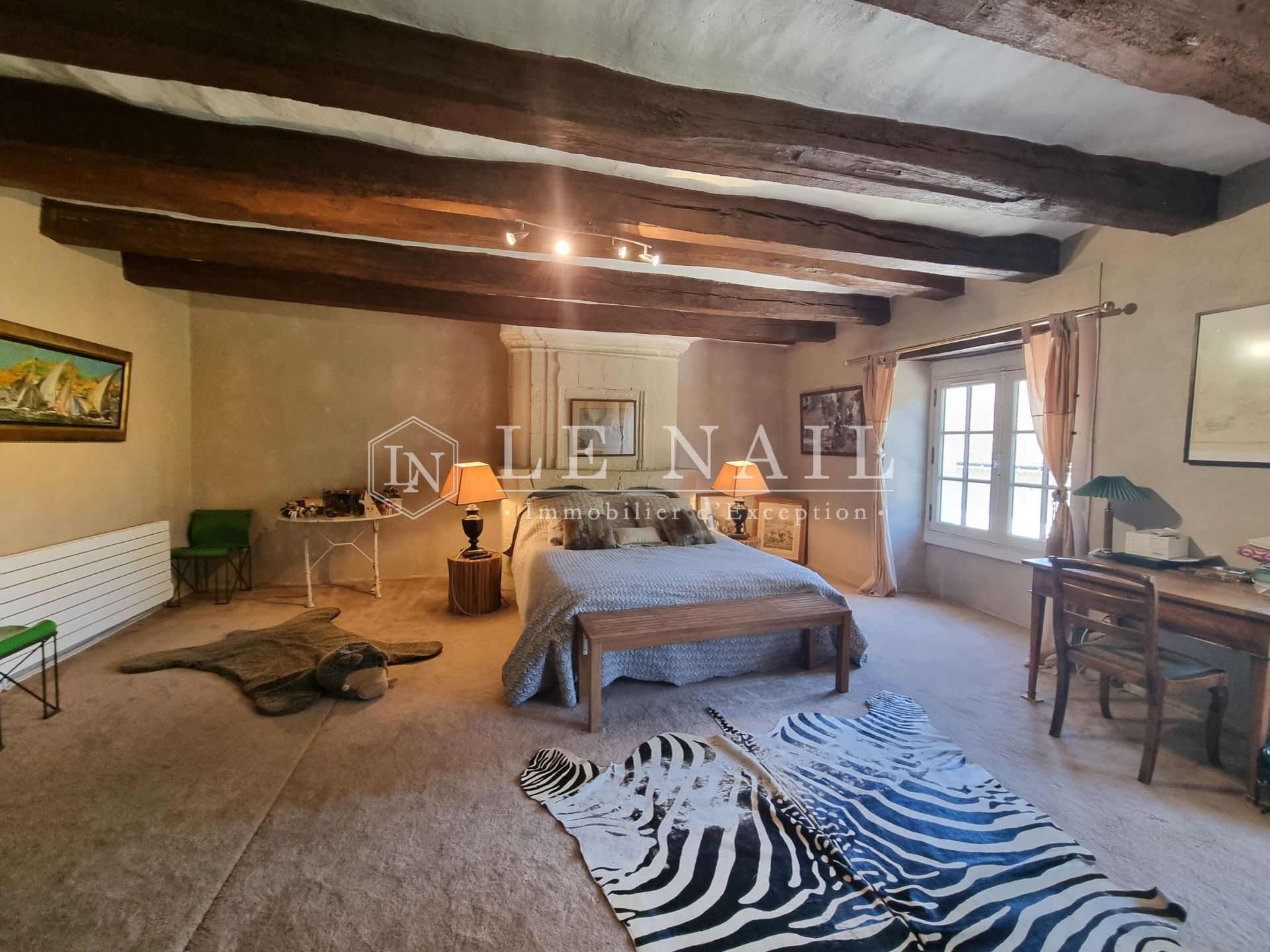 propriété 9 pièces en vente à CHATEAU LA VALLIERE (37330)