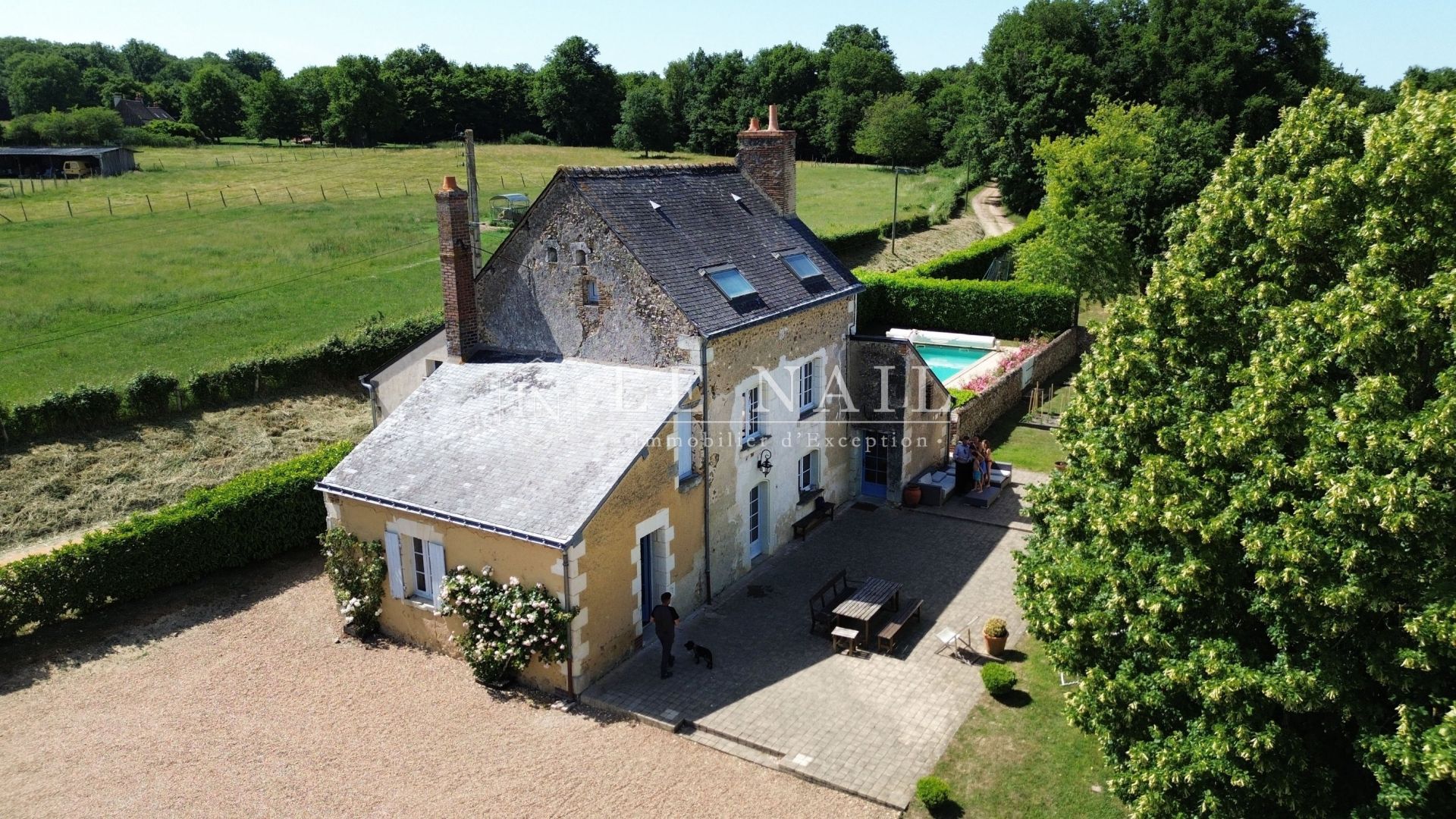propriété 9 pièces en vente à CHATEAU LA VALLIERE (37330)