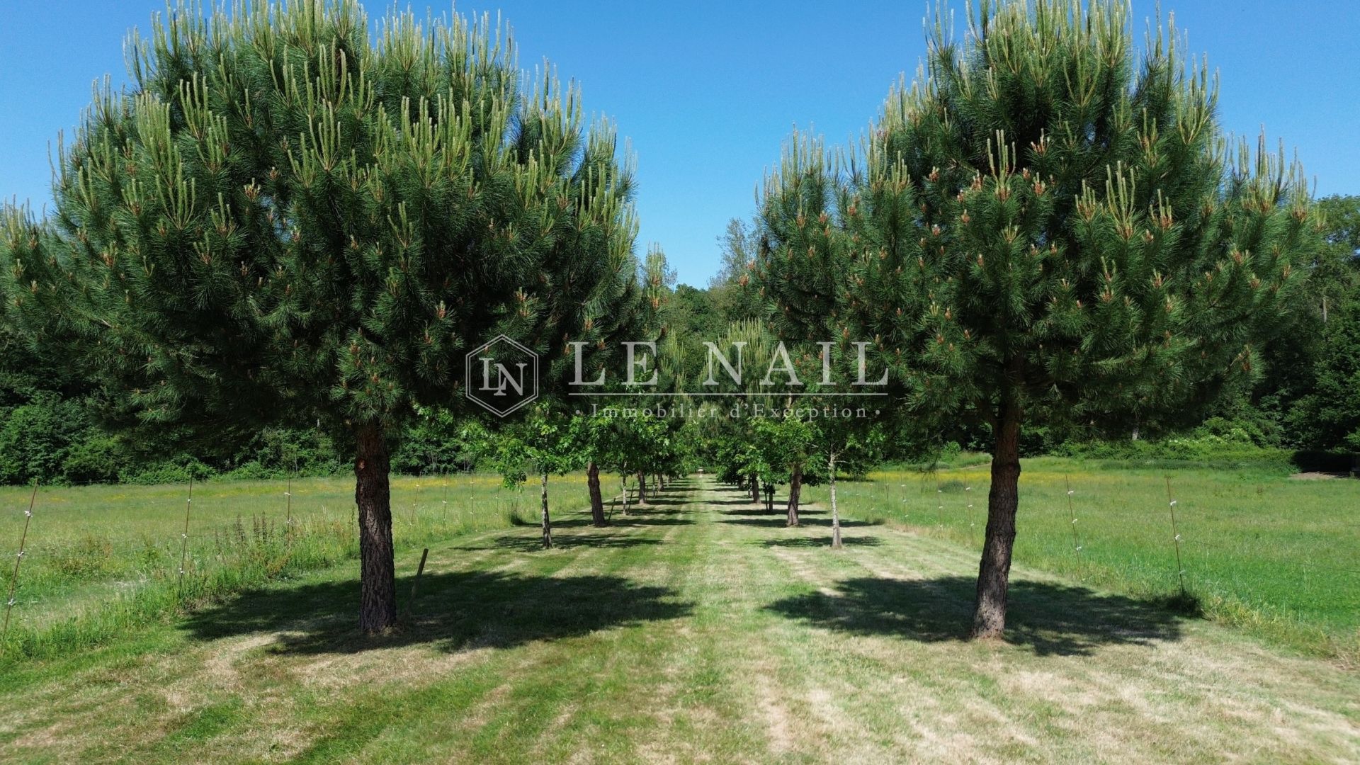propriété 9 pièces en vente à CHATEAU LA VALLIERE (37330)