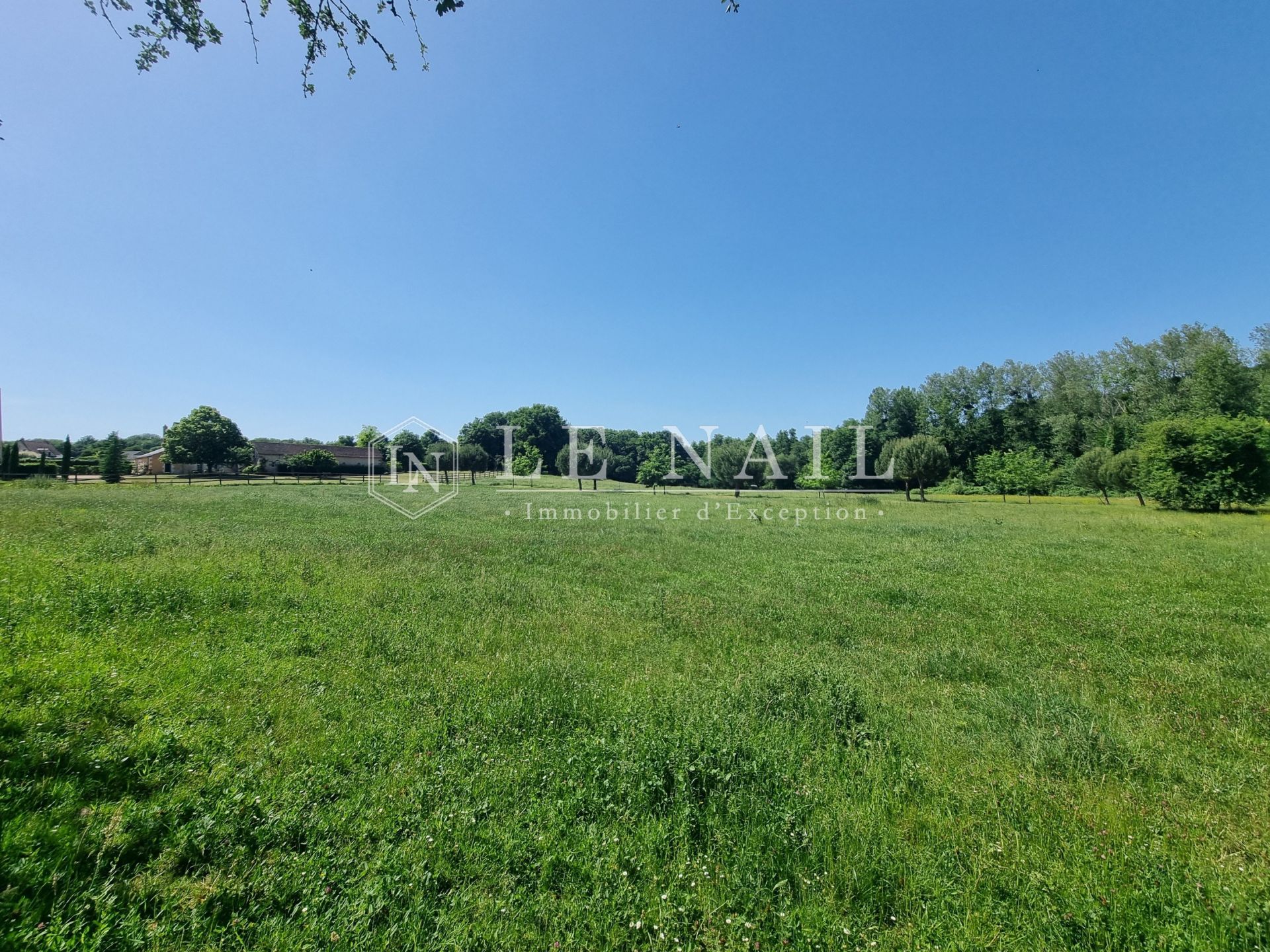 propriété 9 pièces en vente à CHATEAU LA VALLIERE (37330)