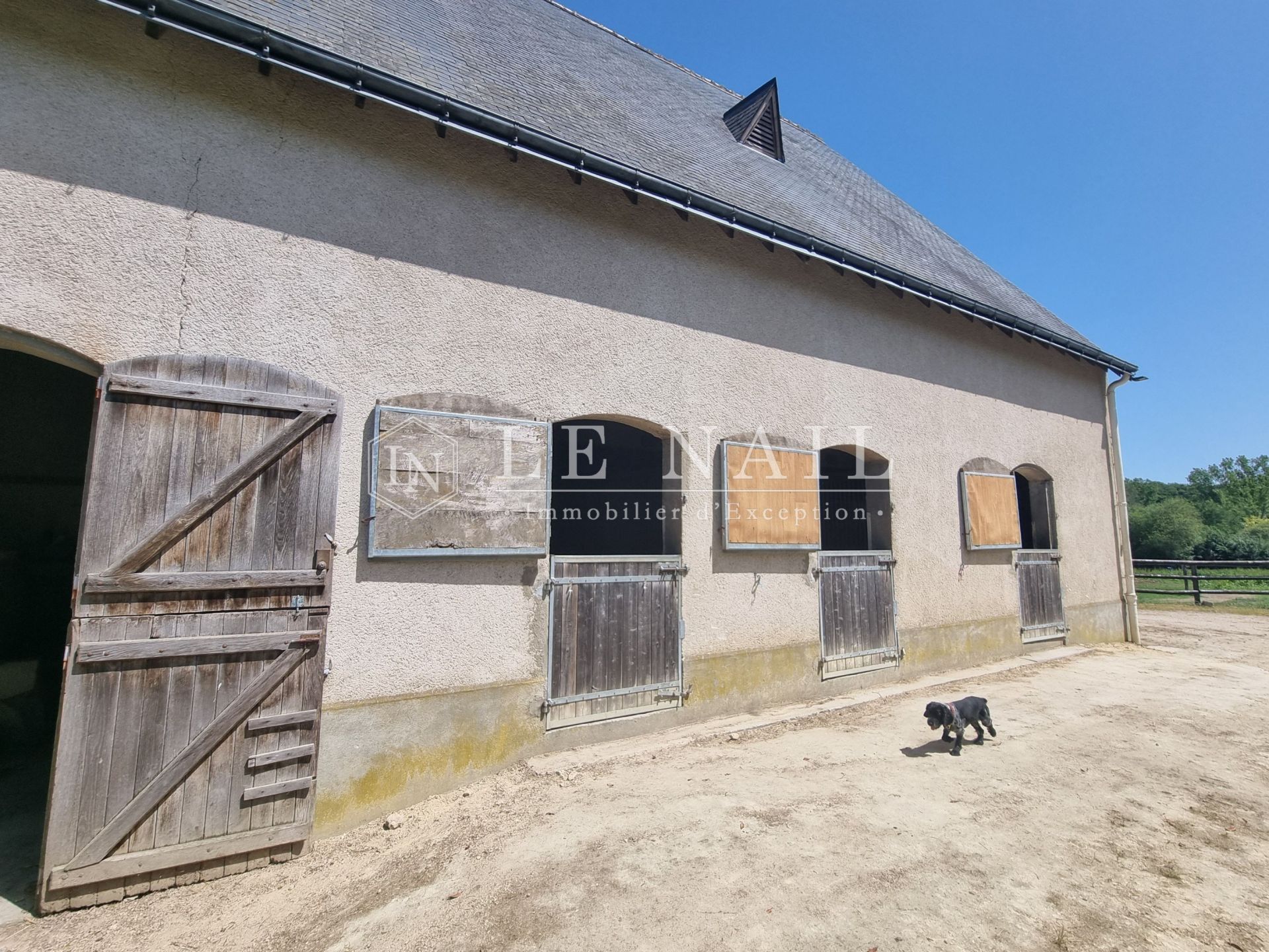propriété 9 pièces en vente à CHATEAU LA VALLIERE (37330)