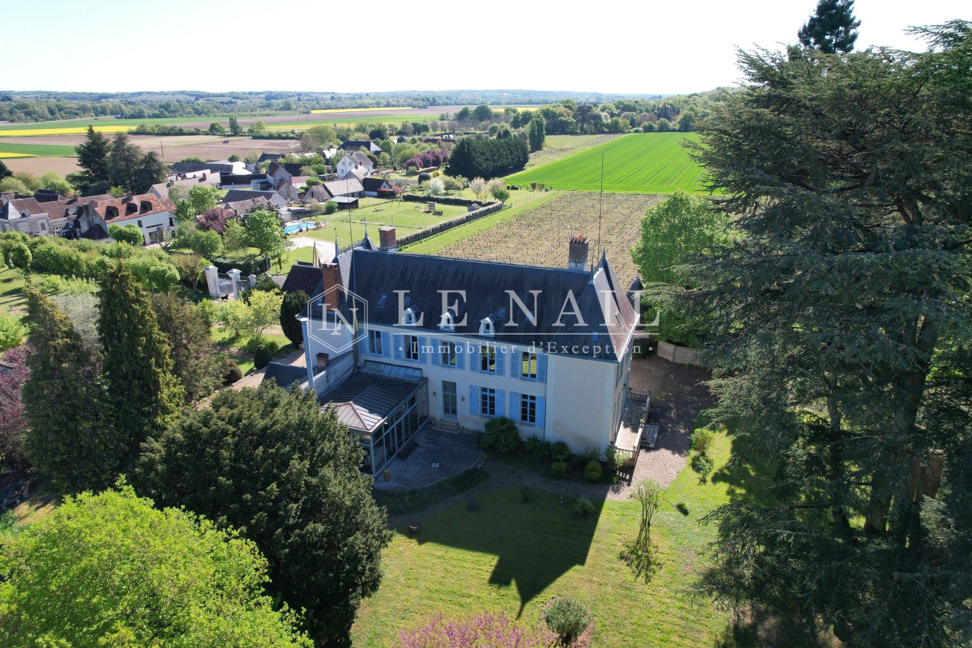 château 17 pièces en vente à ST AIGNAN (41110)