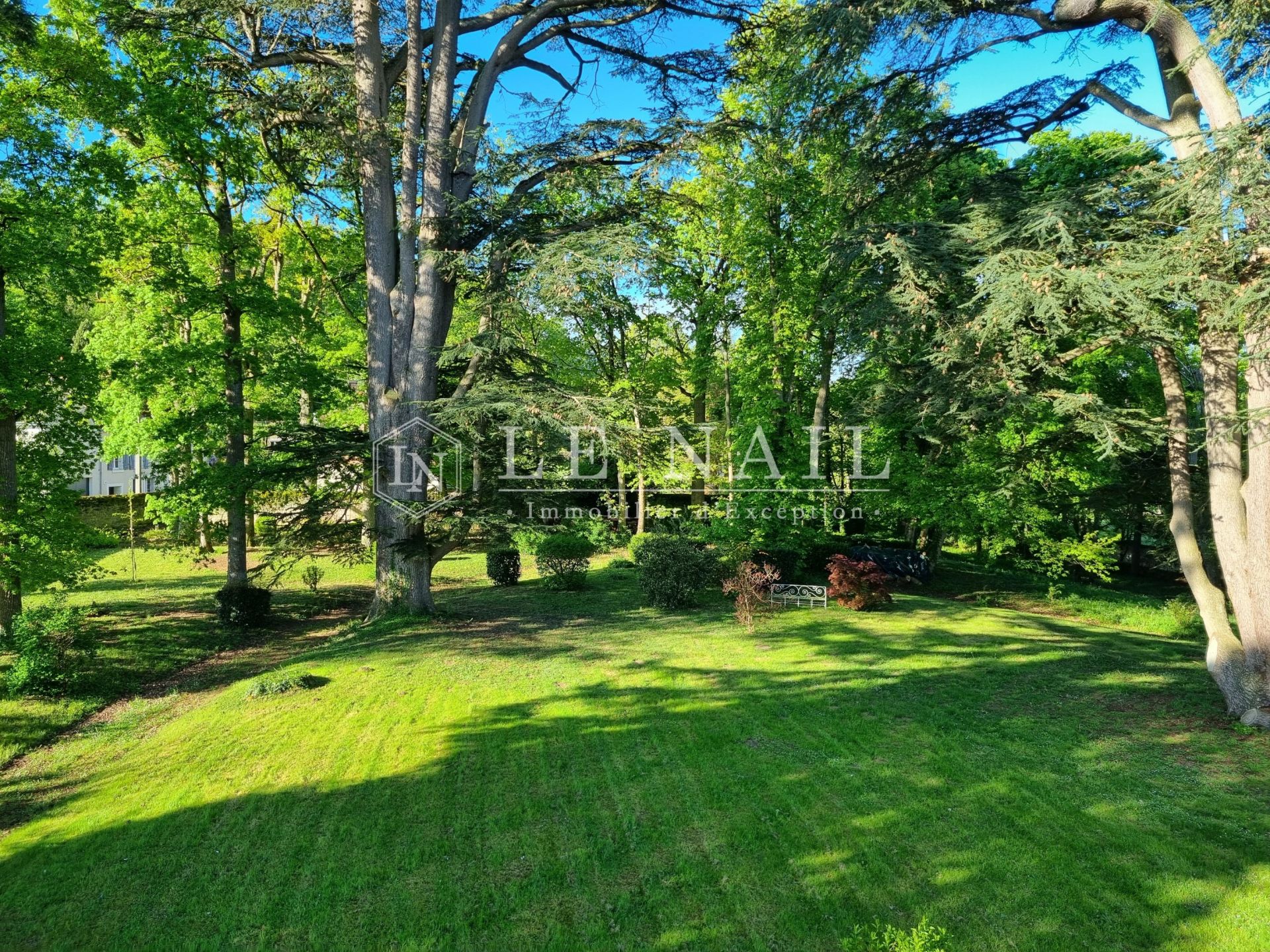 château 17 pièces en vente à ST AIGNAN (41110)