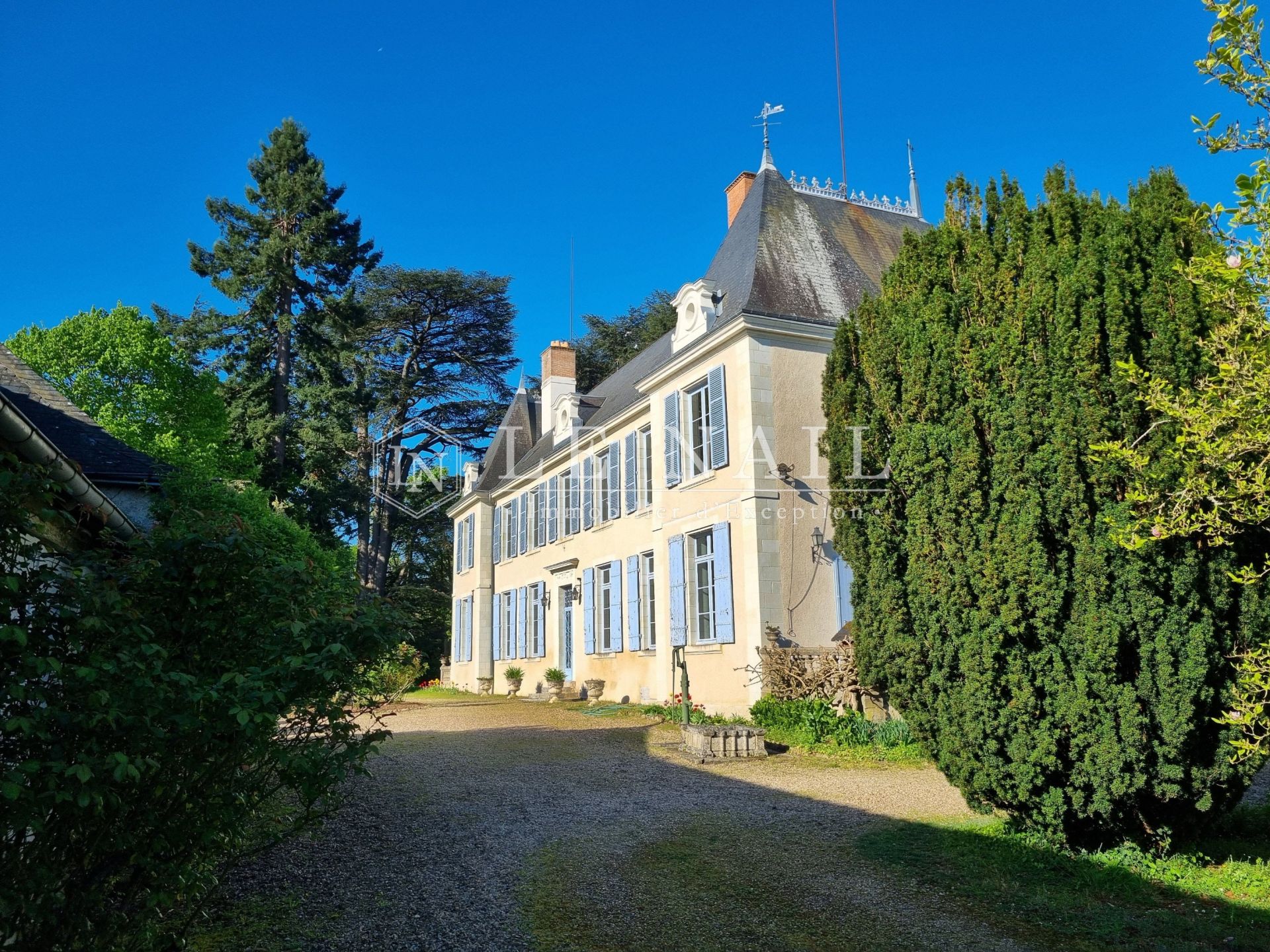 castle 17 rooms for sale on ST AIGNAN (41110)