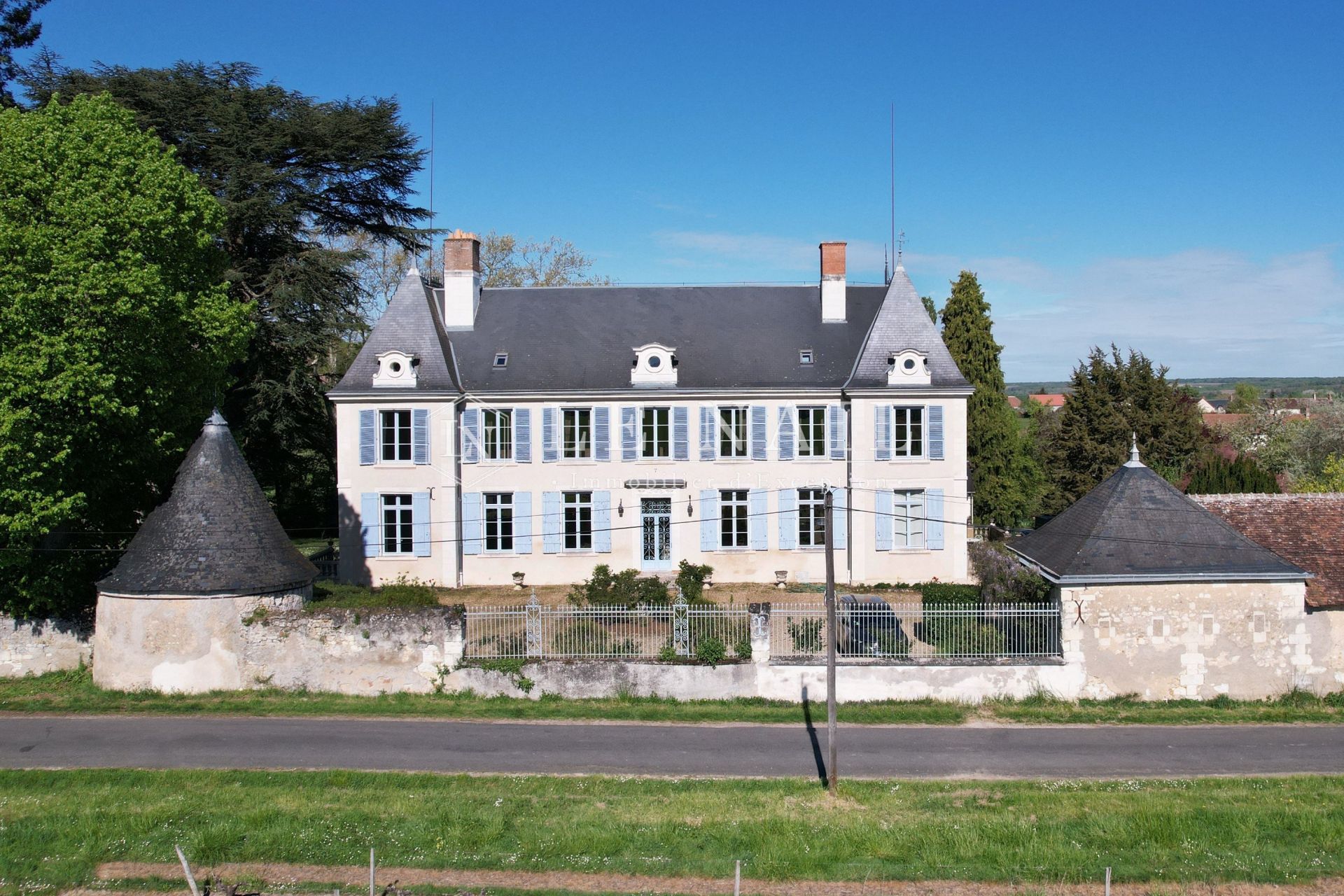 château 17 pièces en vente à ST AIGNAN (41110)