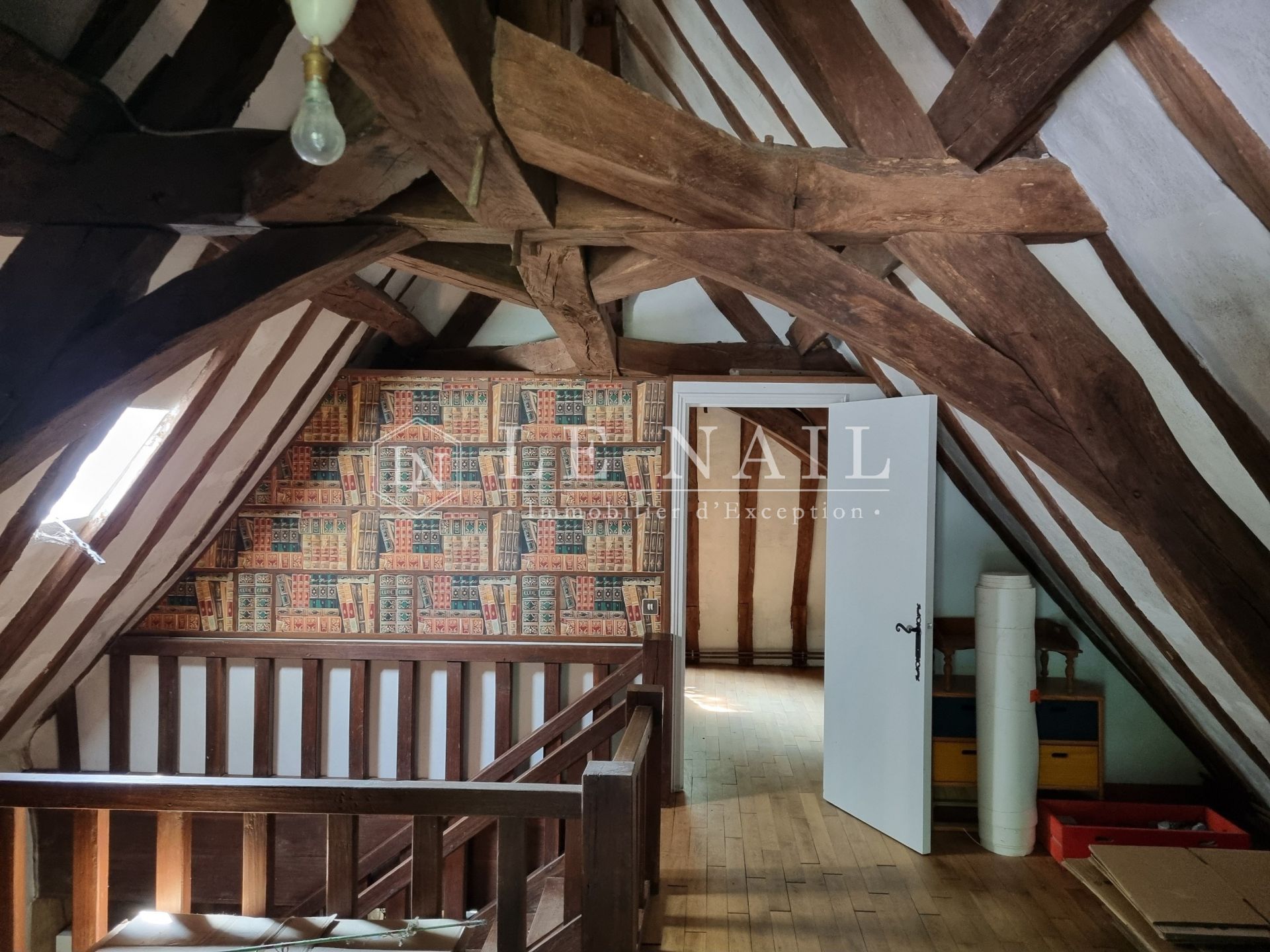 moulin 11 pièces en vente à MONTOIRE SUR LE LOIR (41800)