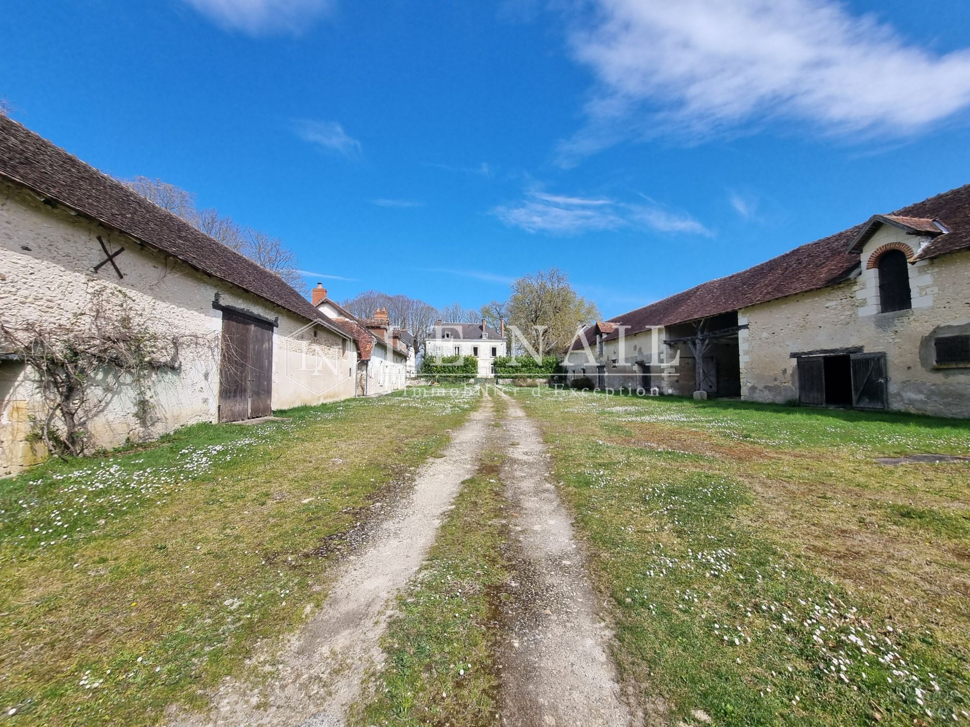 manor house 28 rooms for sale on LOCHES (37600)