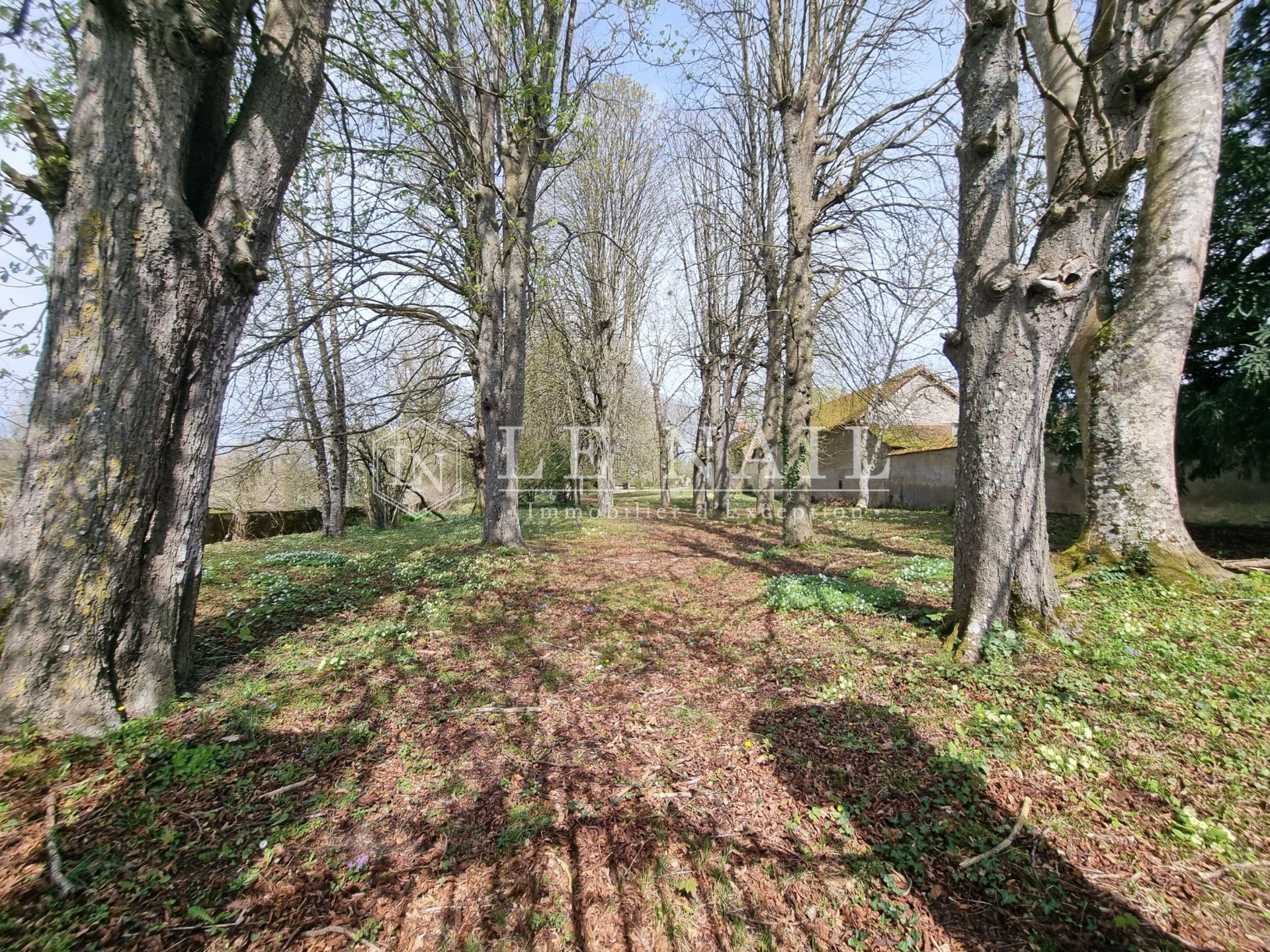 manor house 28 rooms for sale on LOCHES (37600)