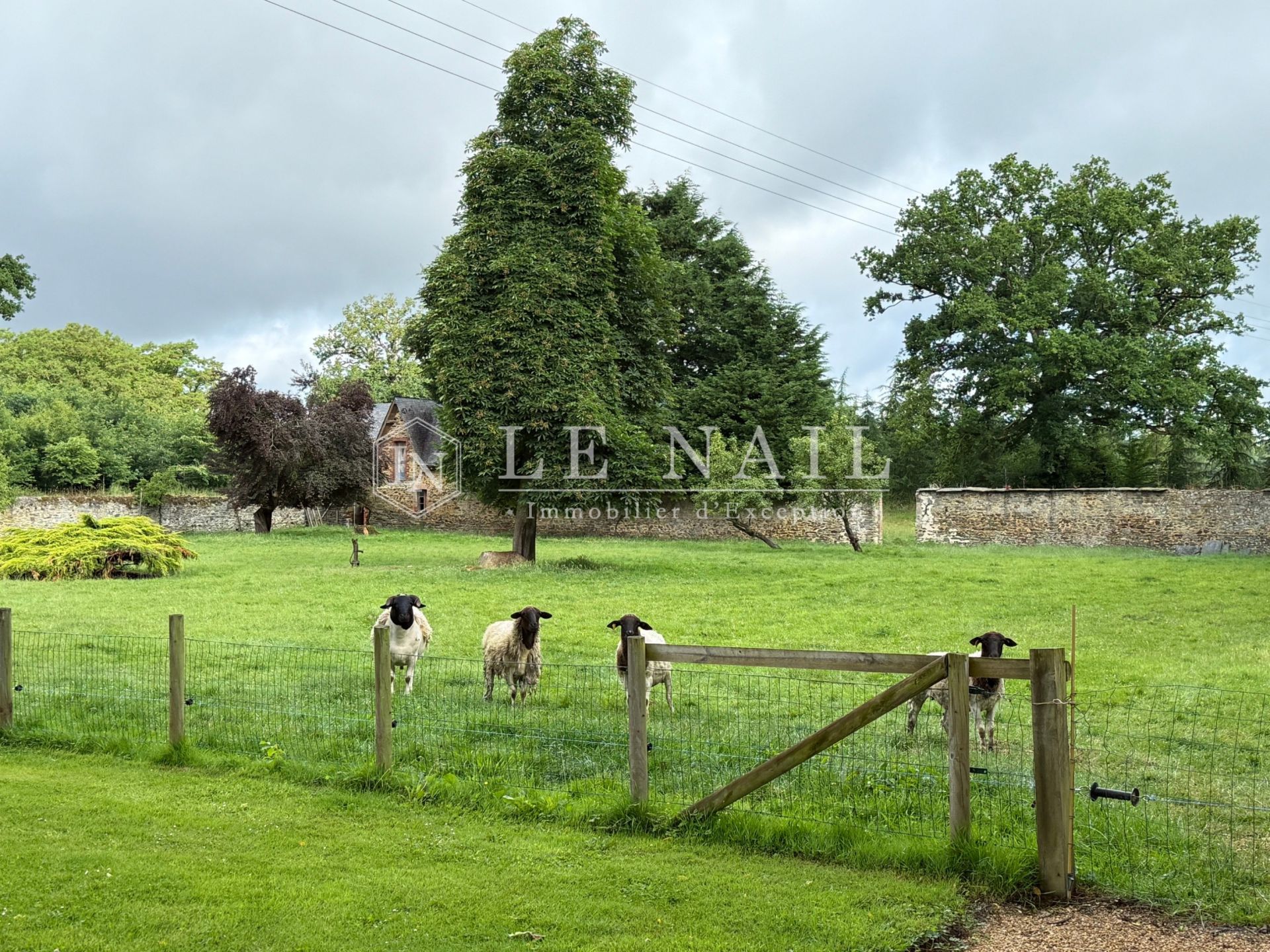 mansion 10 rooms for sale on SEGRE (49500)