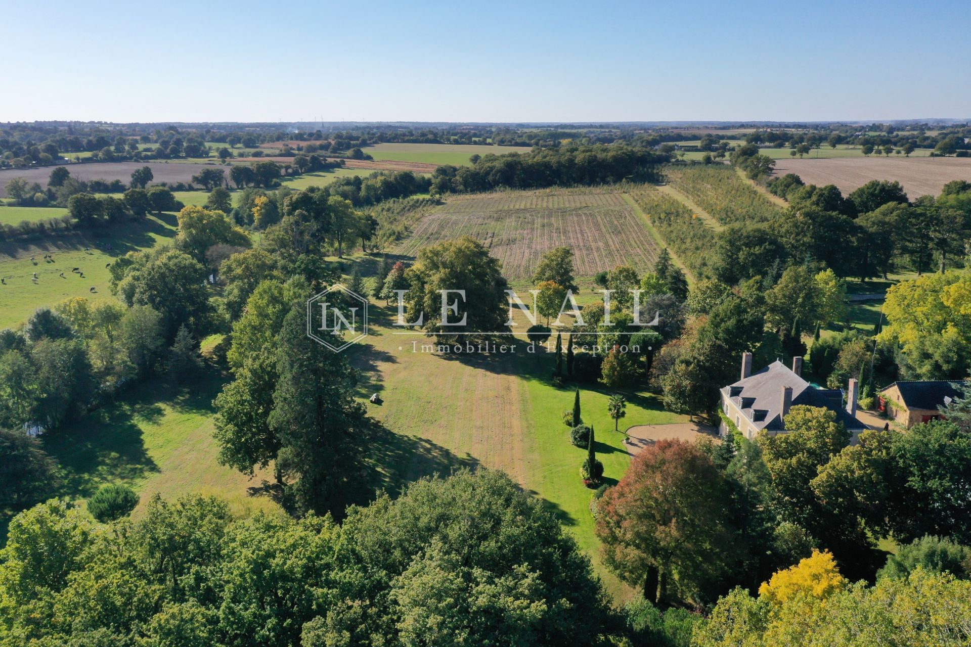 mansion 10 rooms for sale on SEGRE (49500)