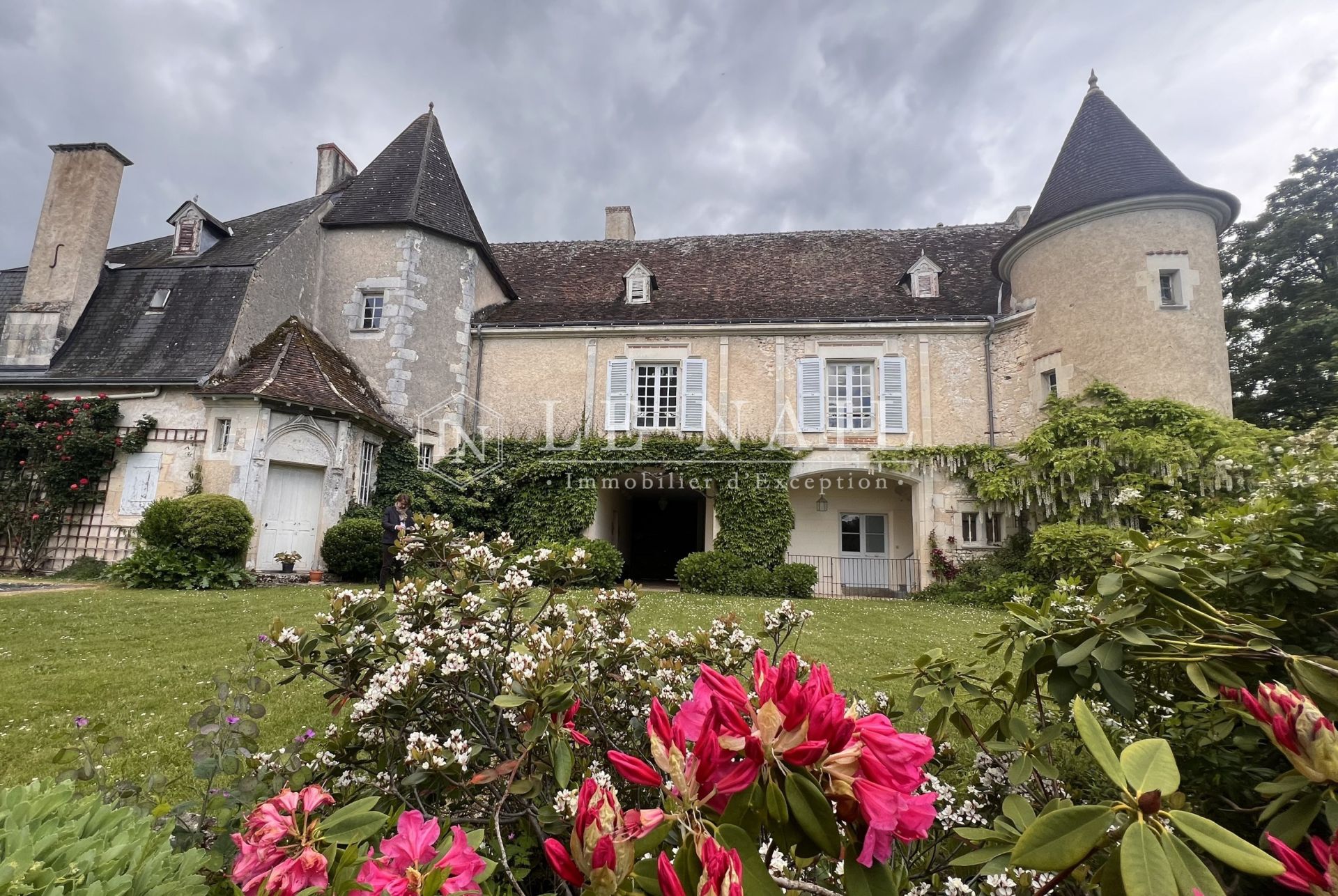 castle 9 rooms for sale on LA ROCHE POSAY (86270)