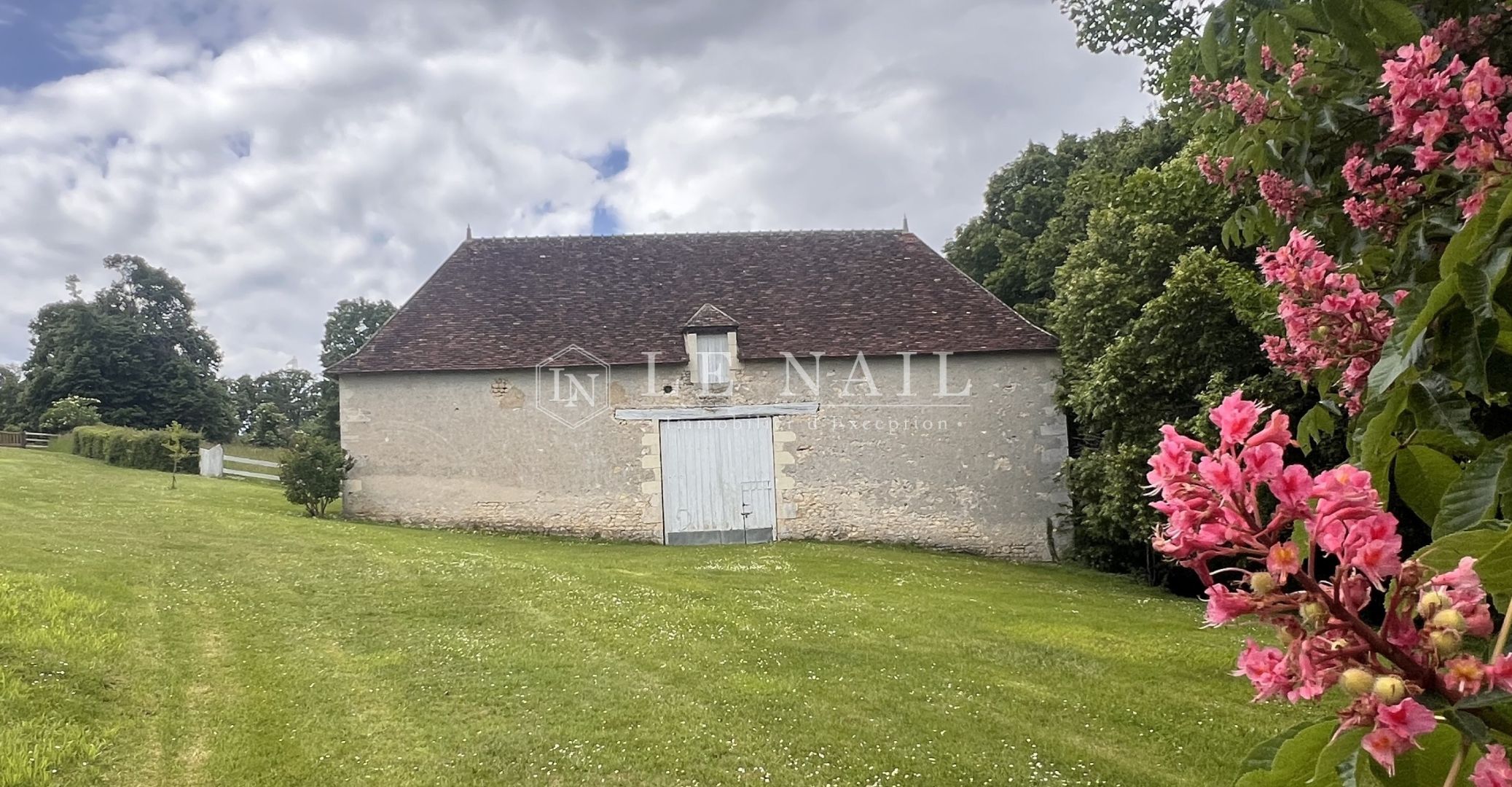 castle 9 rooms for sale on LA ROCHE POSAY (86270)