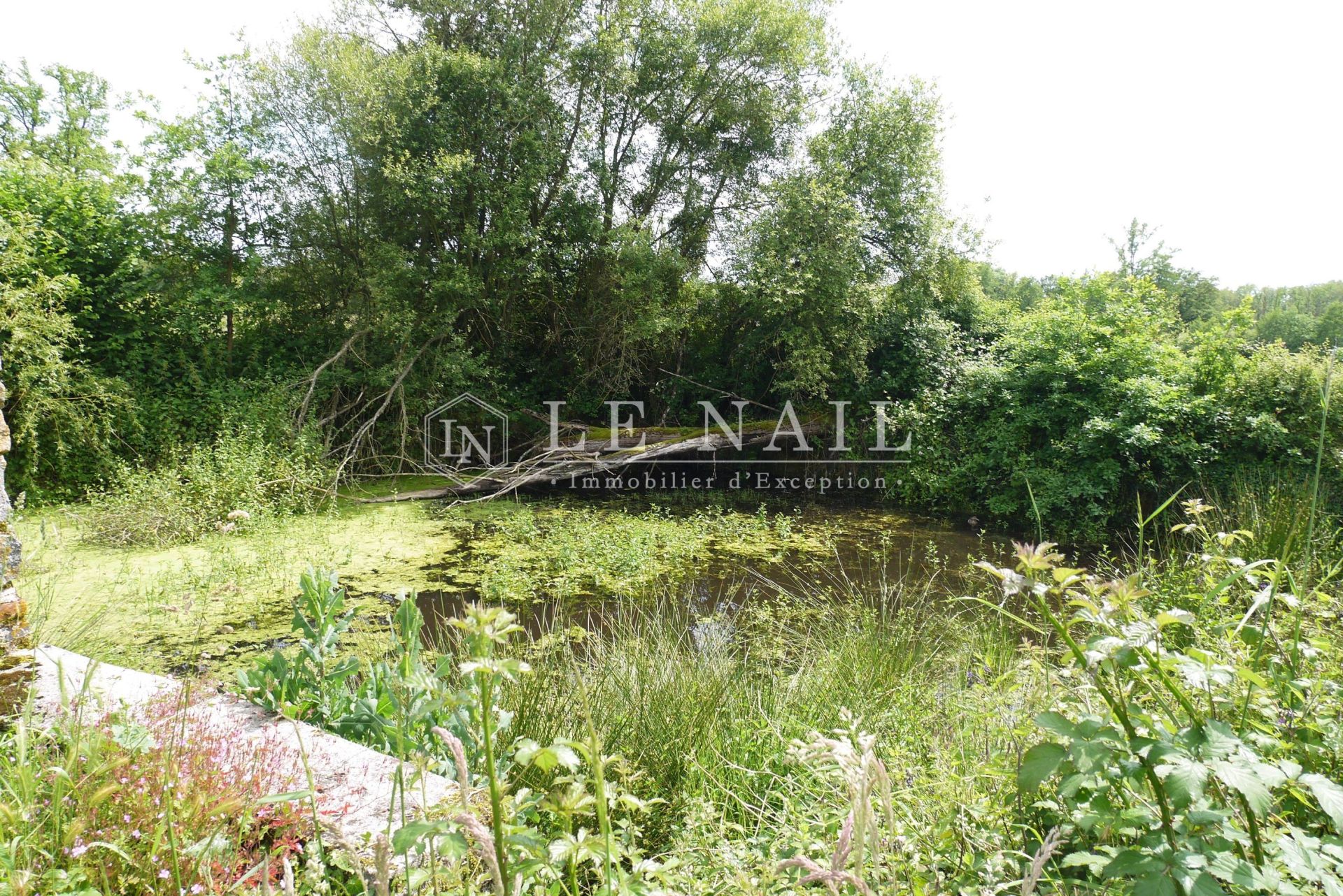 property 22 rooms for sale on LE DORAT (87210)