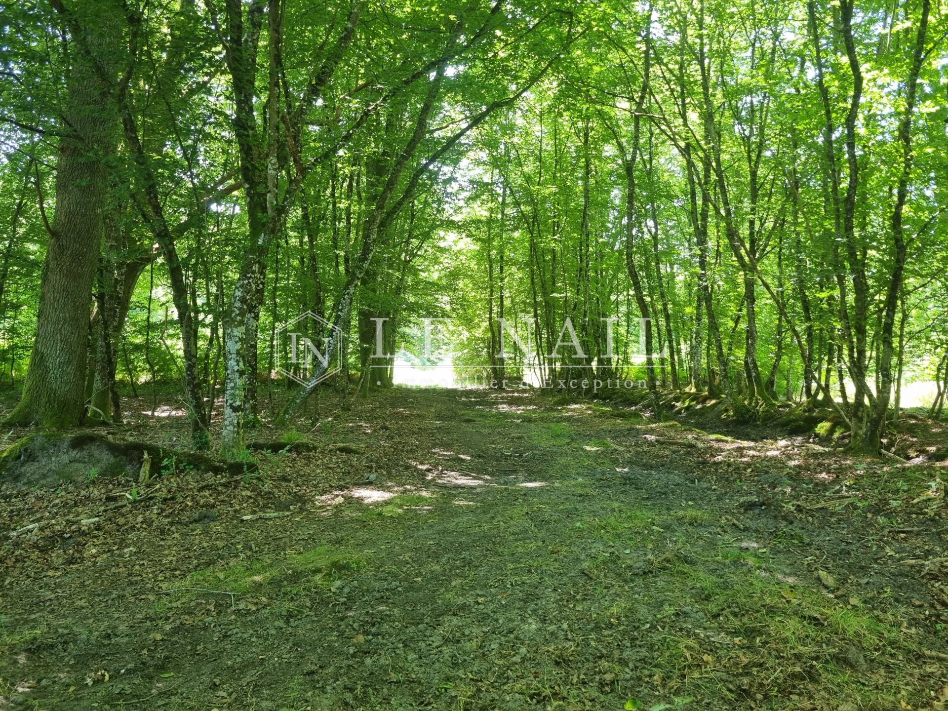 propriété de chasse 5 pièces en vente à SALBRIS (41300)