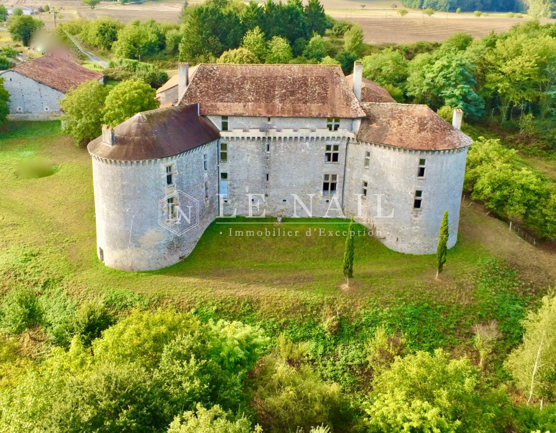 castle 15 rooms for sale on BRANTOME (24310)