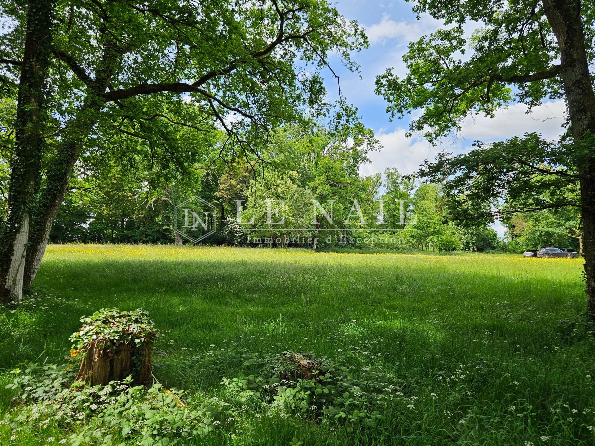 castle 8 rooms for sale on LAVAL (53000)