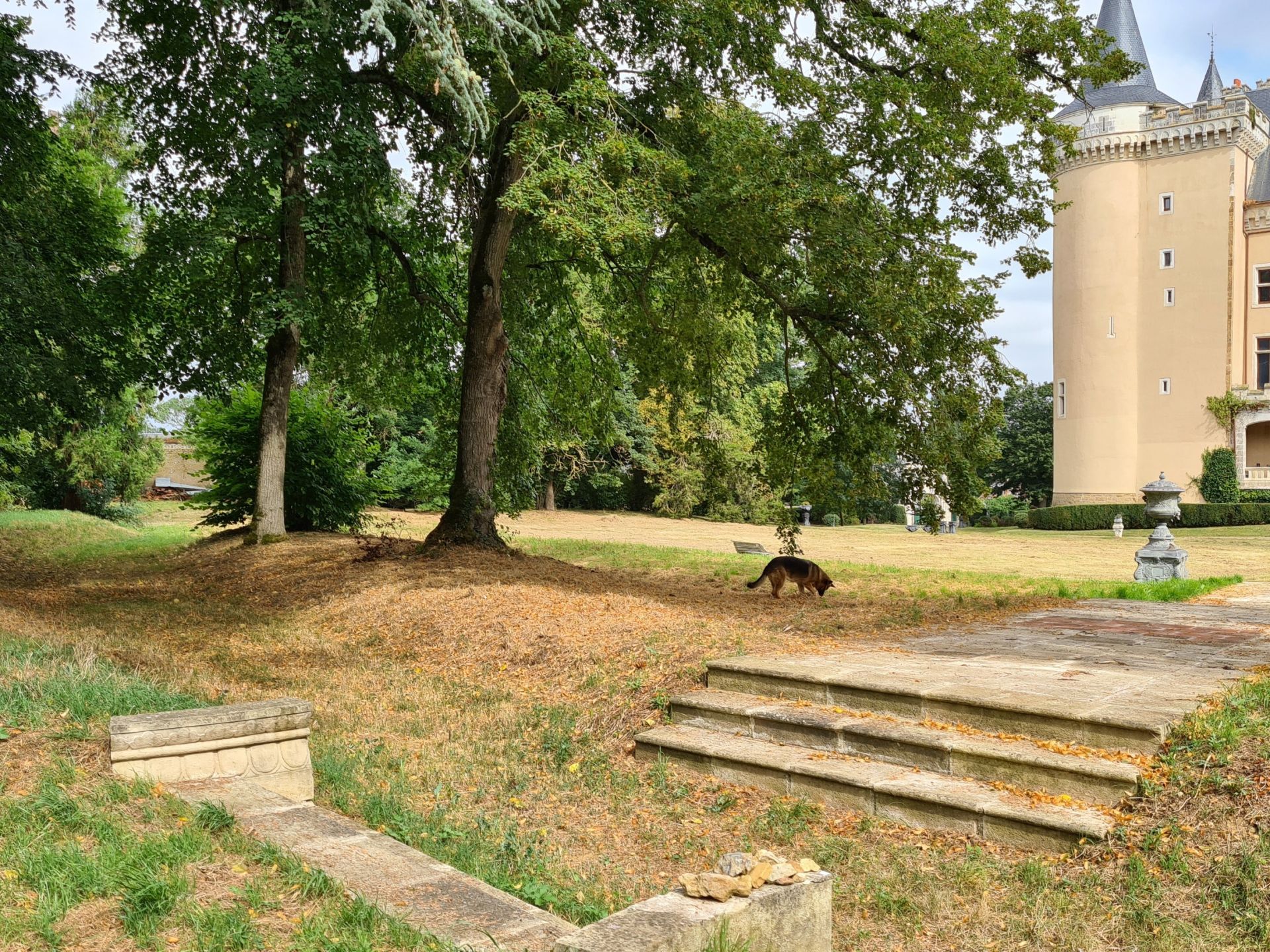 castle 20 rooms for sale on CHATEAUROUX (36000)
