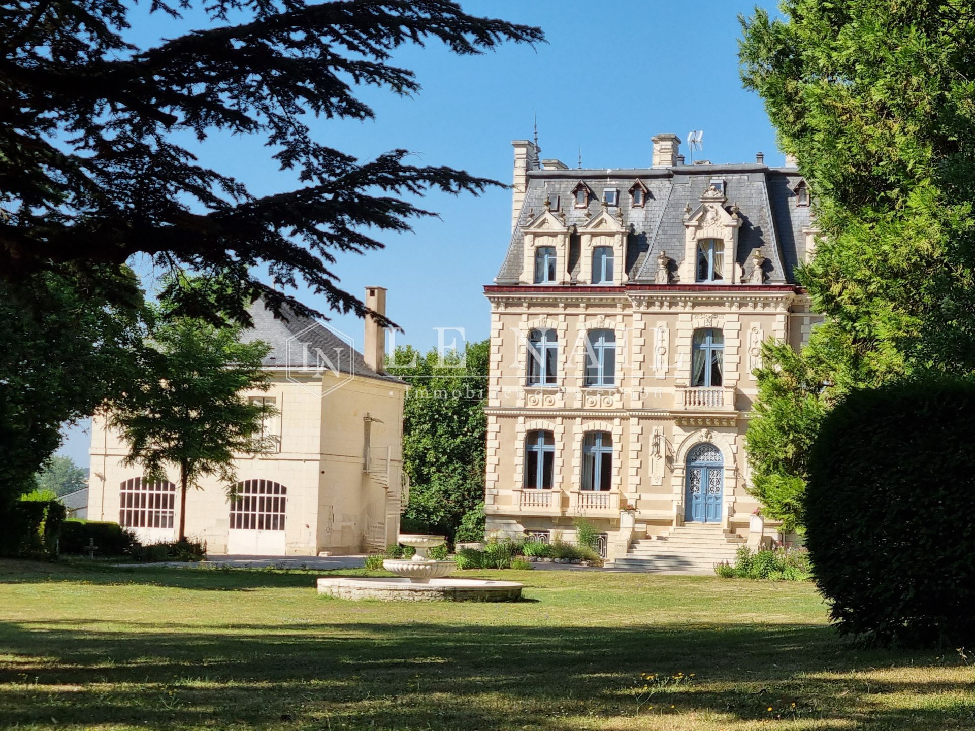 castle 50 rooms for sale on TOURS (37000)