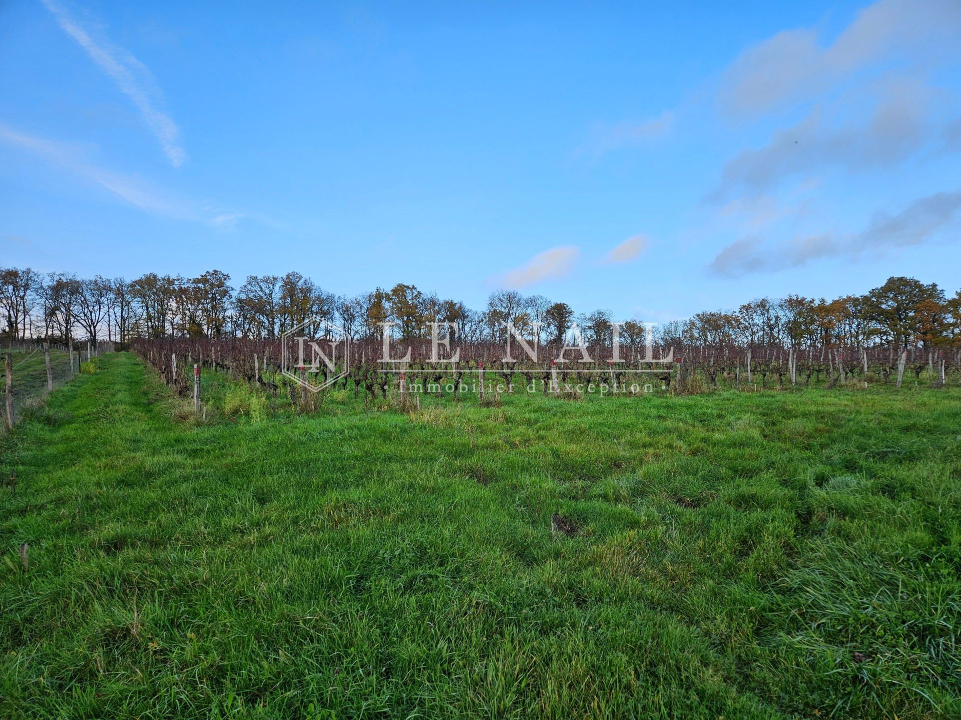 propriété de chasse 15 pièces en vente à CHINON (37500)
