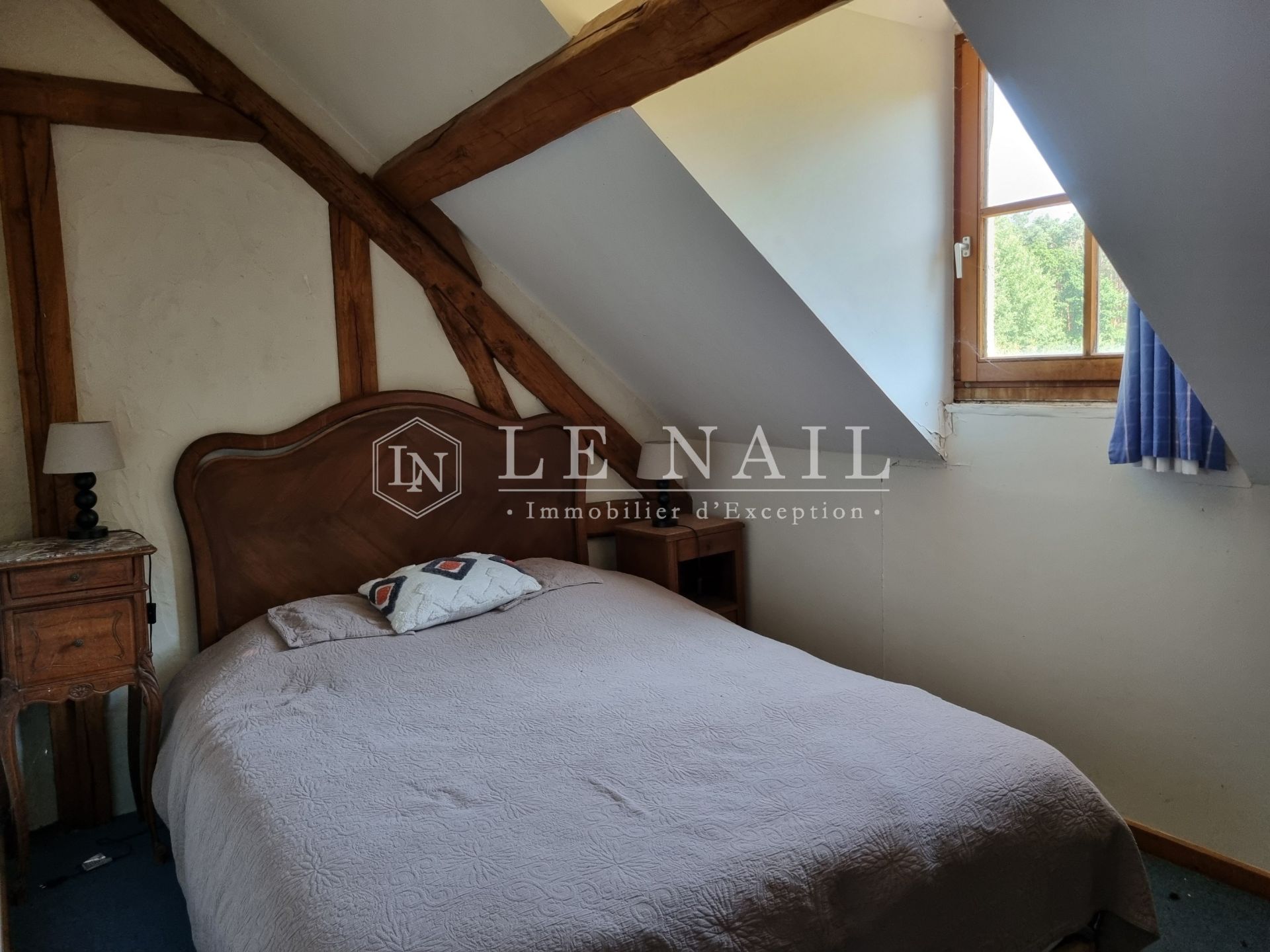 property 6 rooms for sale on SULLY SUR LOIRE (45600)