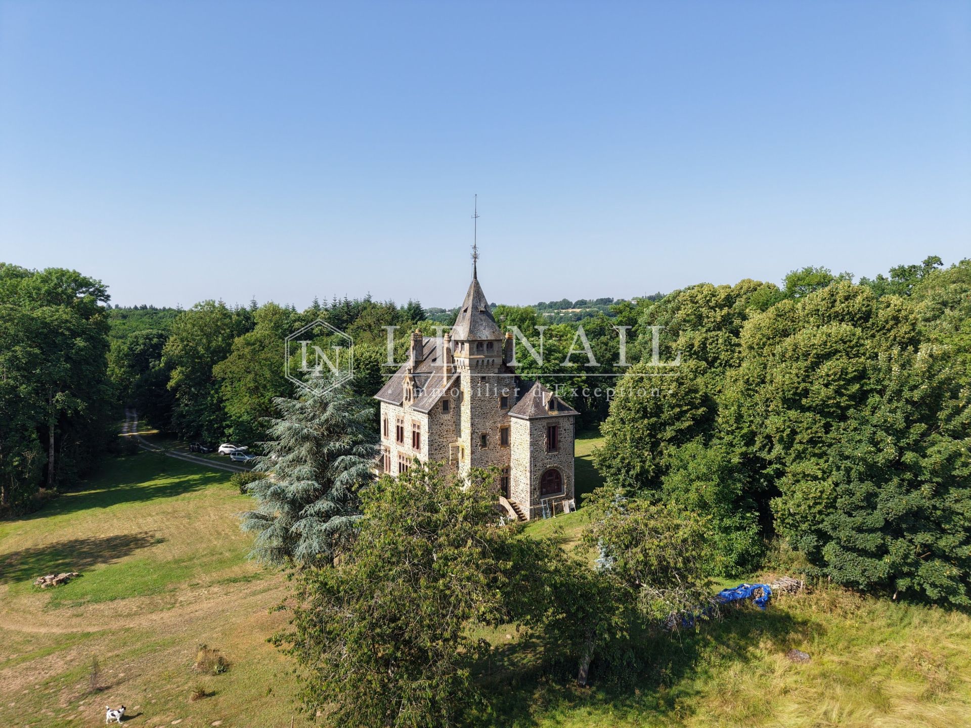 castle 16 rooms for sale on MAYENNE (53100)