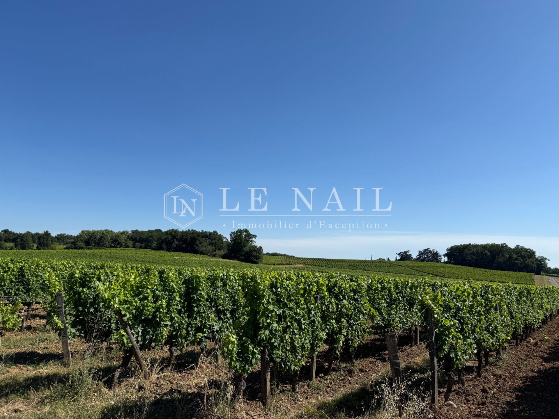 propriété viticole 8 pièces en vente à BERGERAC (24100)