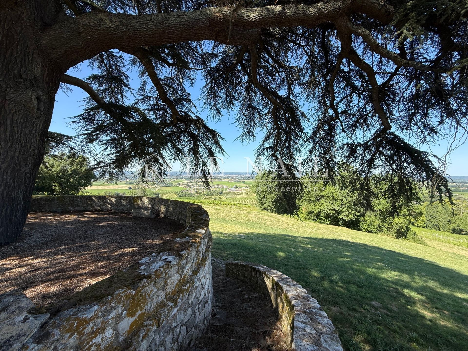 wine estate 8 rooms for sale on BERGERAC (24100)
