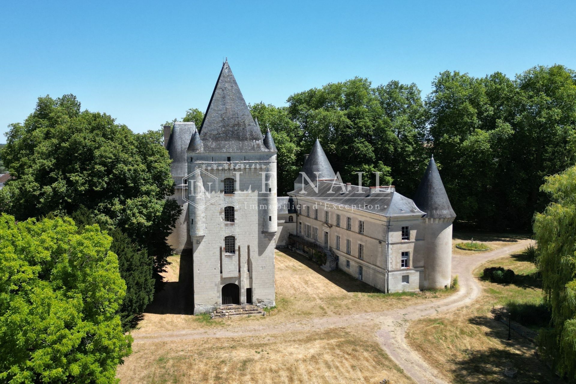 château 15 pièces en vente à BUZANCAIS (36500)